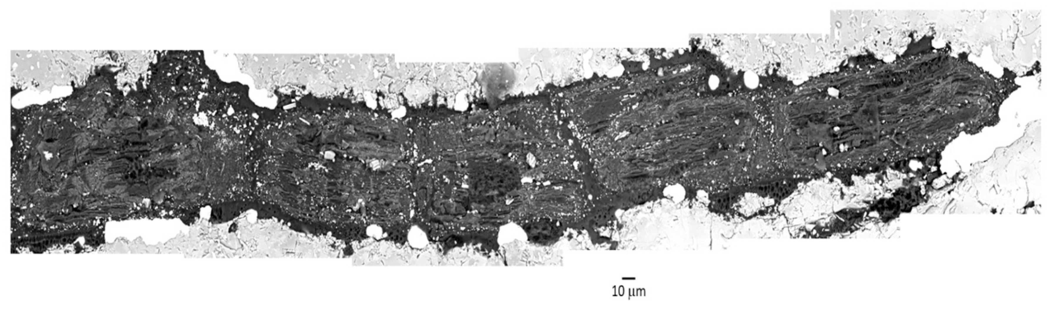Minerals 10 01005 g004 Minerals 10 01005 g004