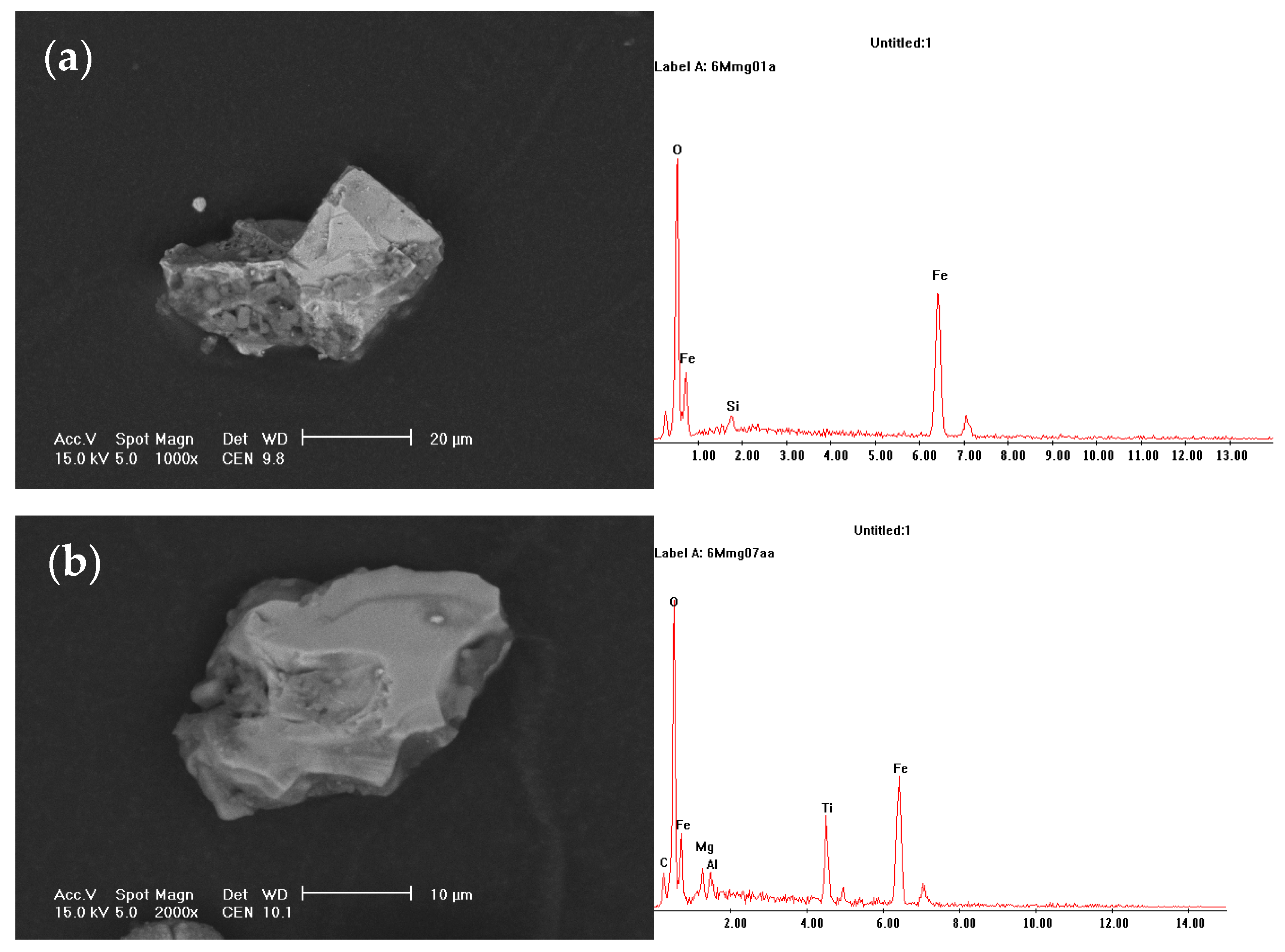 SEM images of the lignite particles of the model soil 2 from