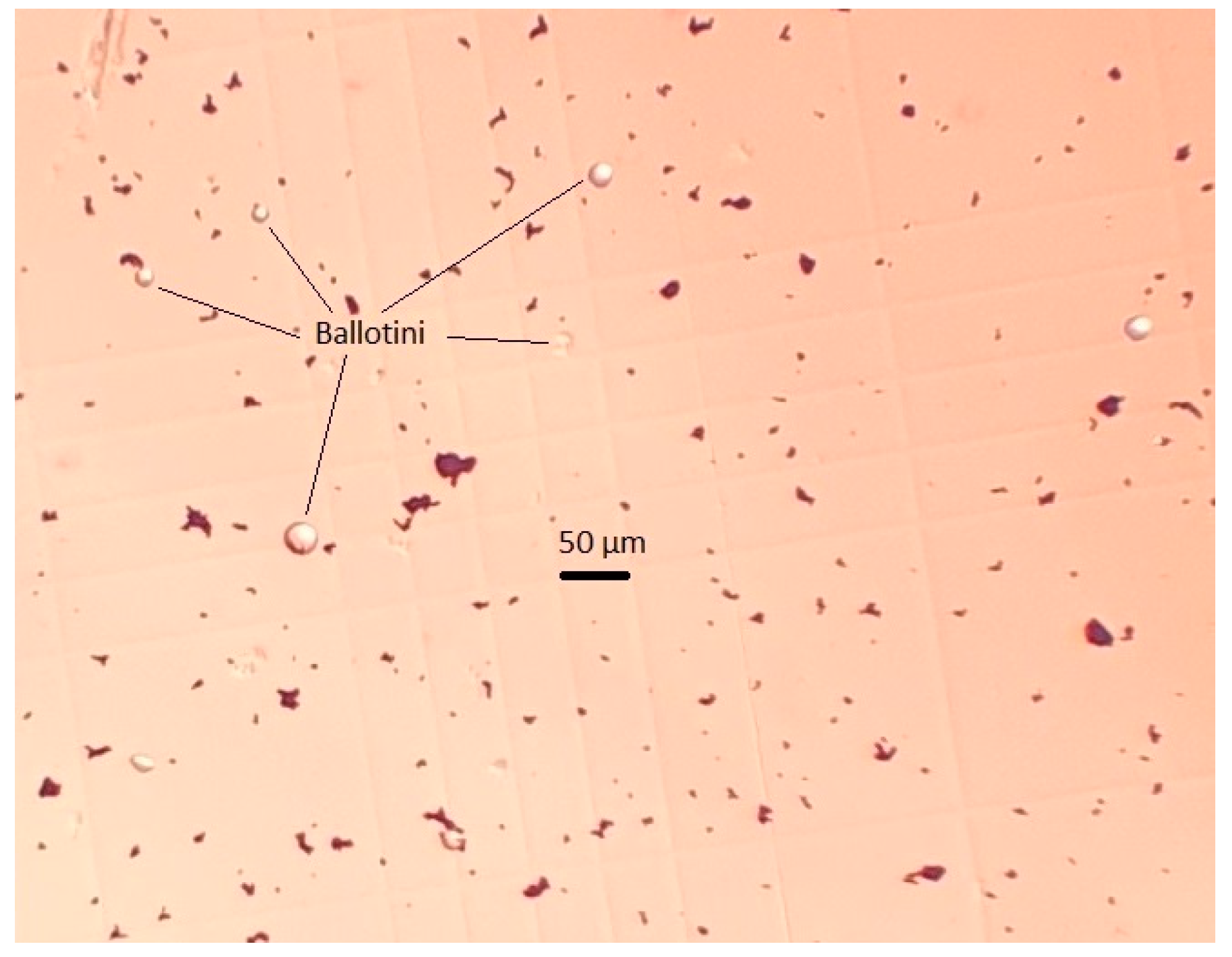 Minerals 10 01078 g001 Minerals 10 01078 g001