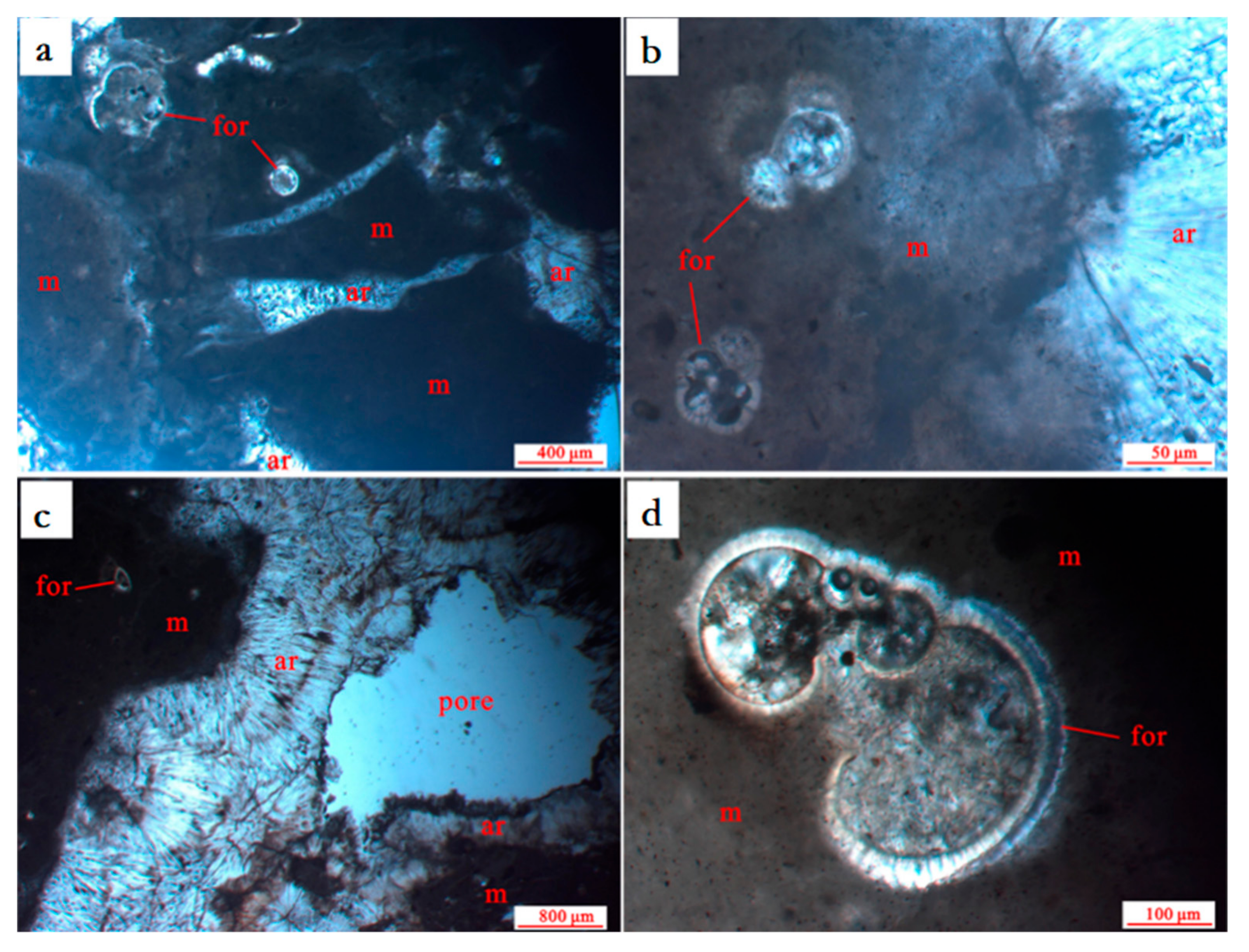 Minerals 10 01135 g003 Minerals 10 01135 g003