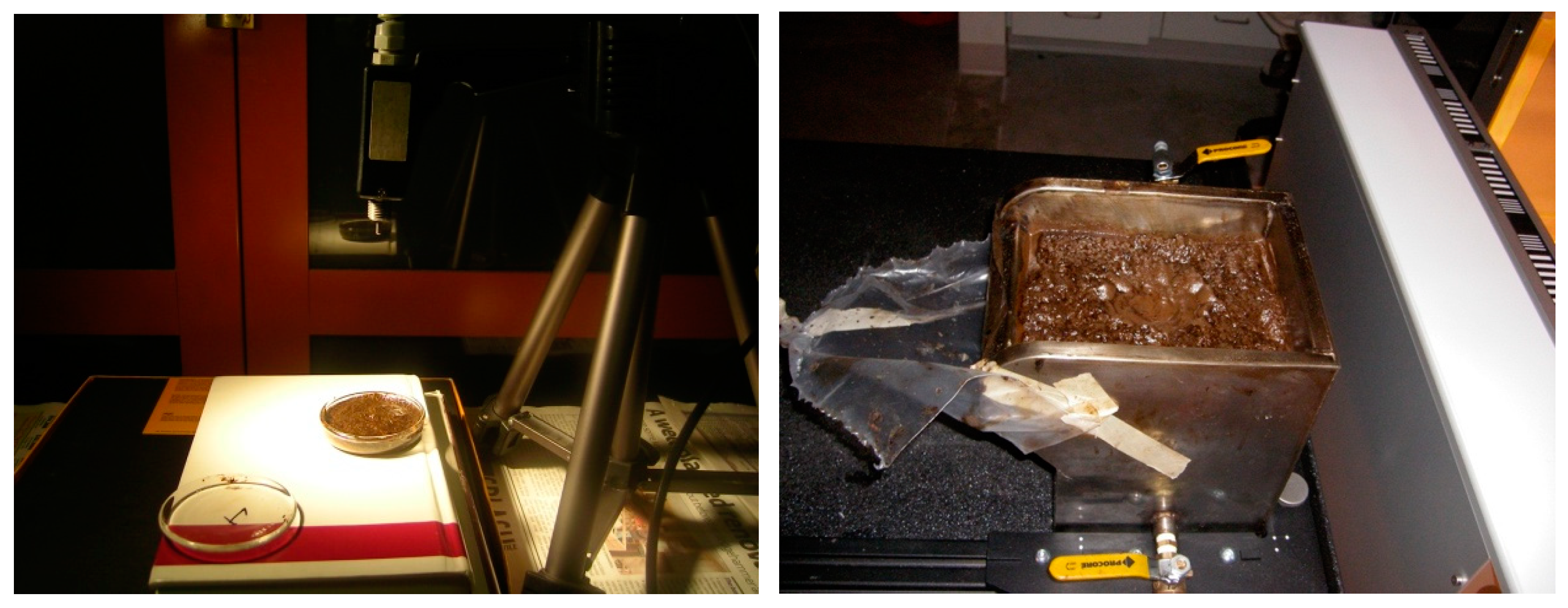 Minerals 10 01137 g003