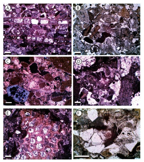 Weathering Rocks  Scientific American