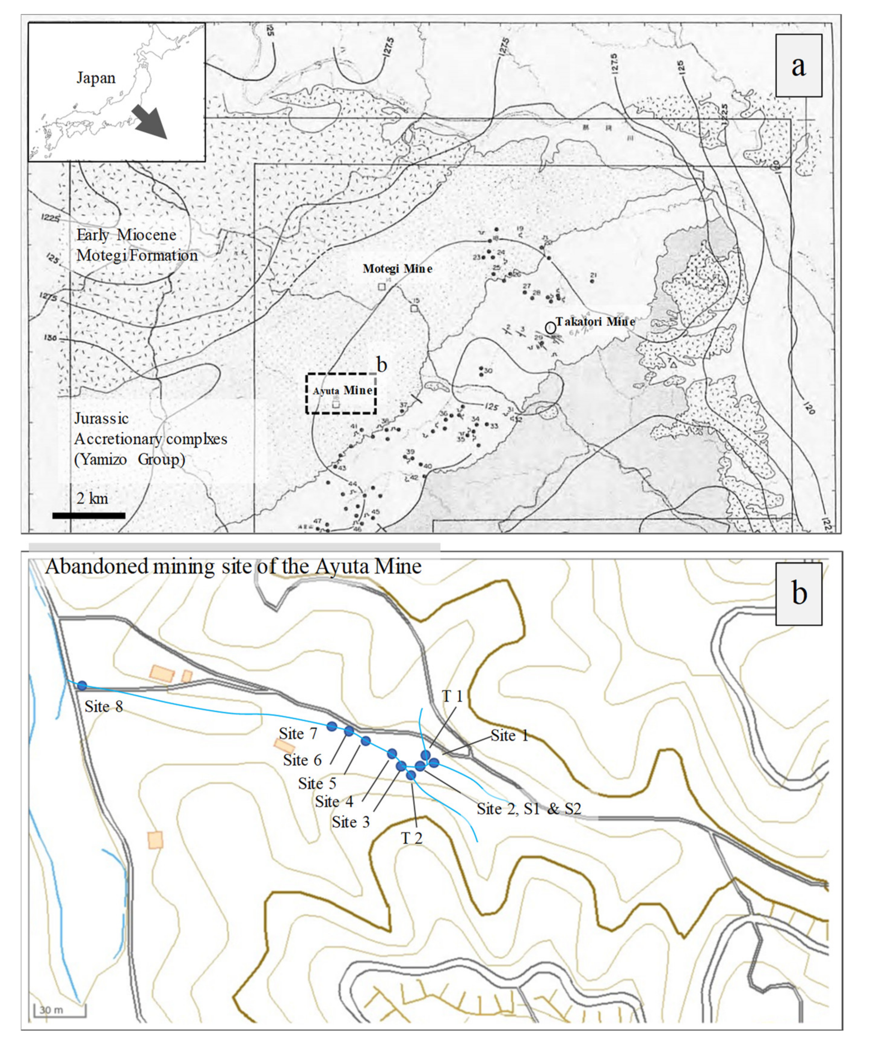 Minerals 11 00032 g001
