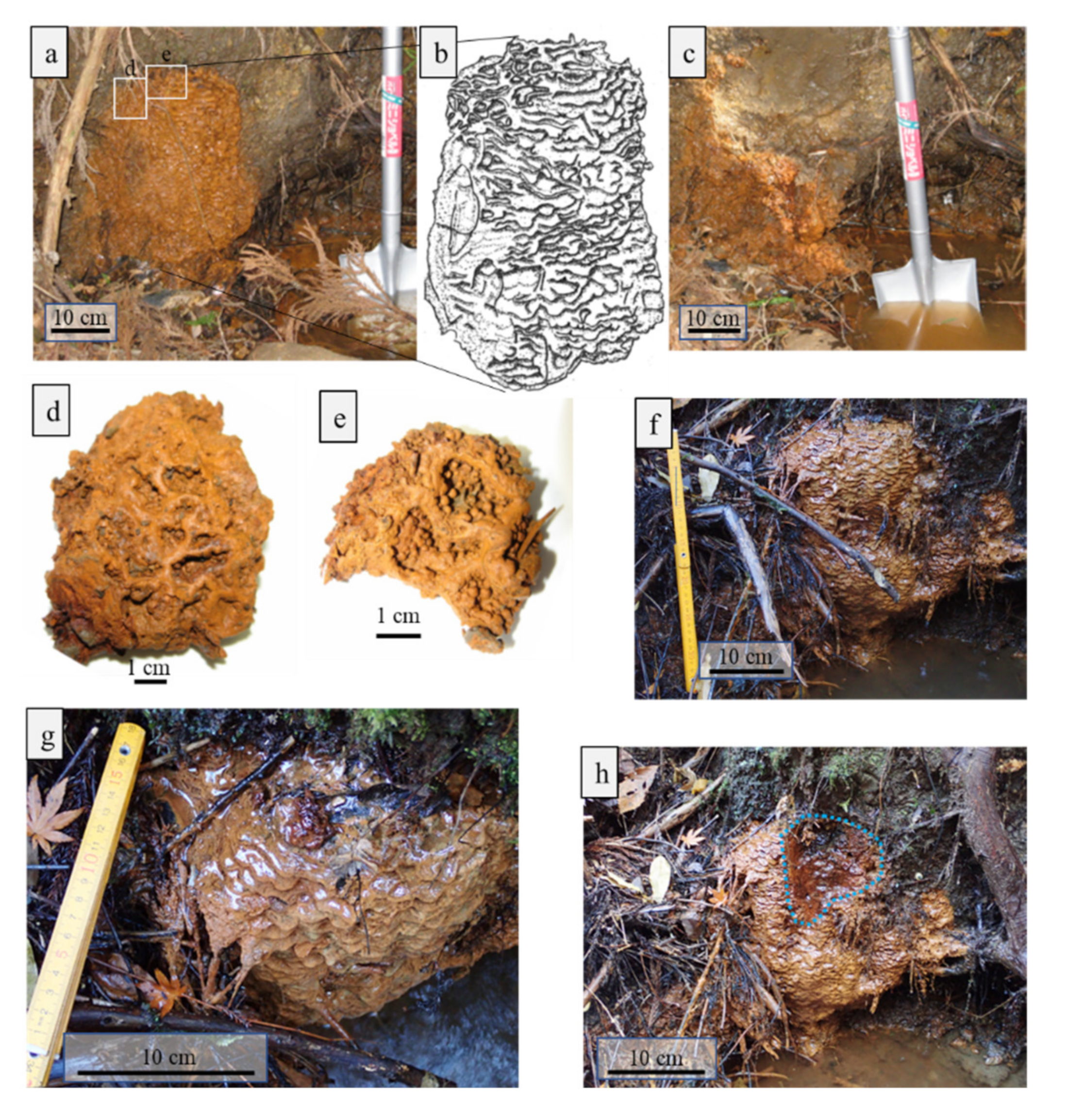 Minerals 11 00032 g002