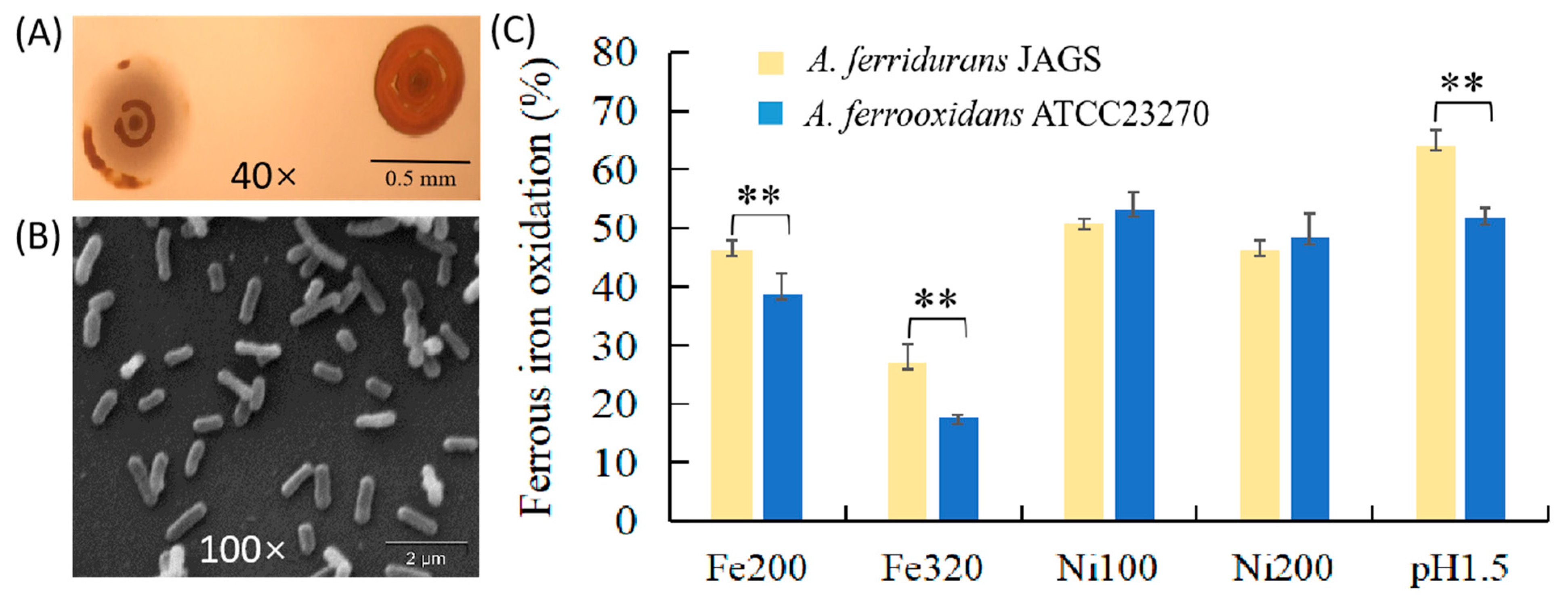Minerals 11 00074 g001 Minerals 11 00074 g001
