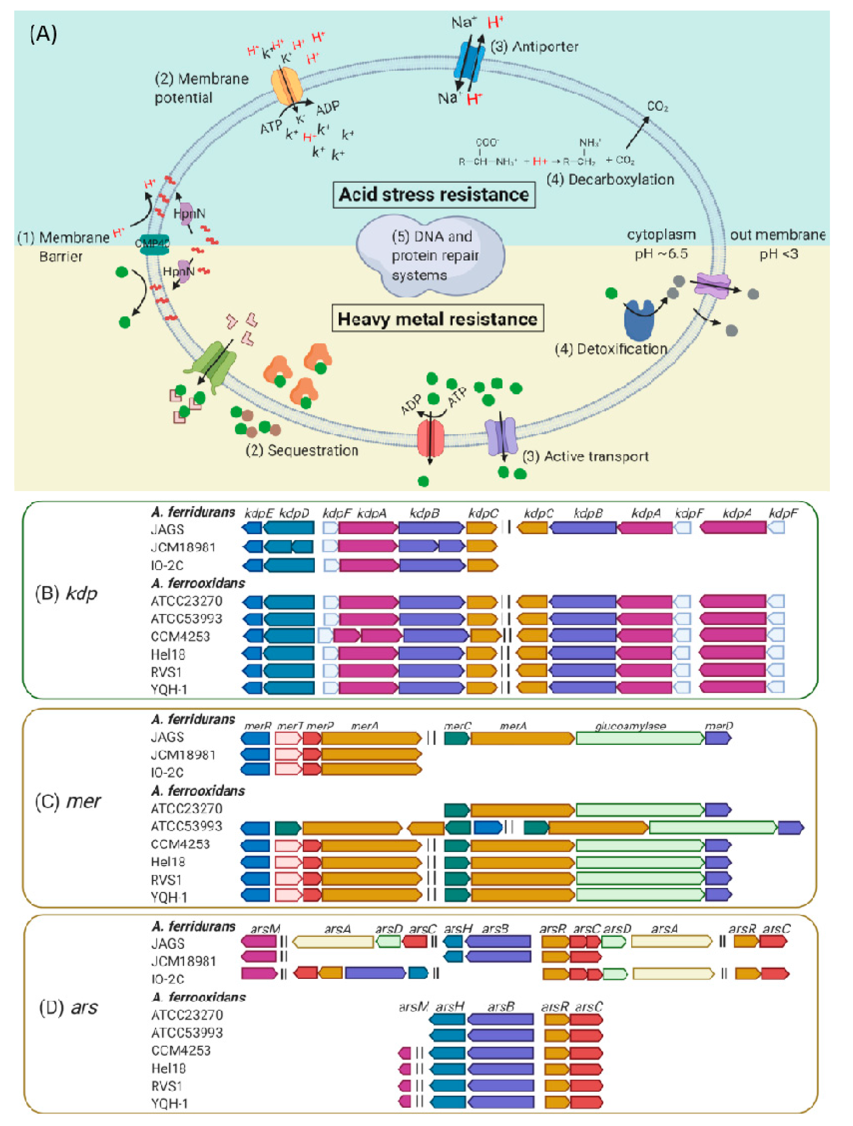 Minerals 11 00074 g004 Minerals 11 00074 g004