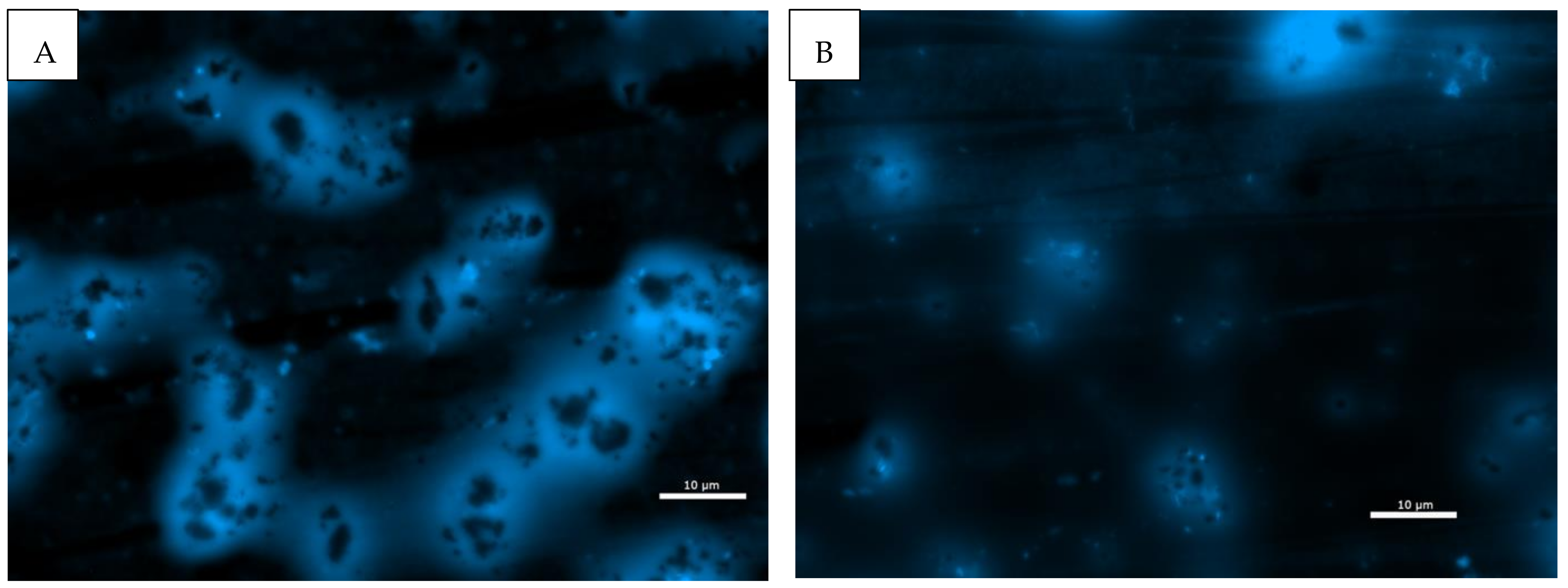 Minerals 11 00156 g006