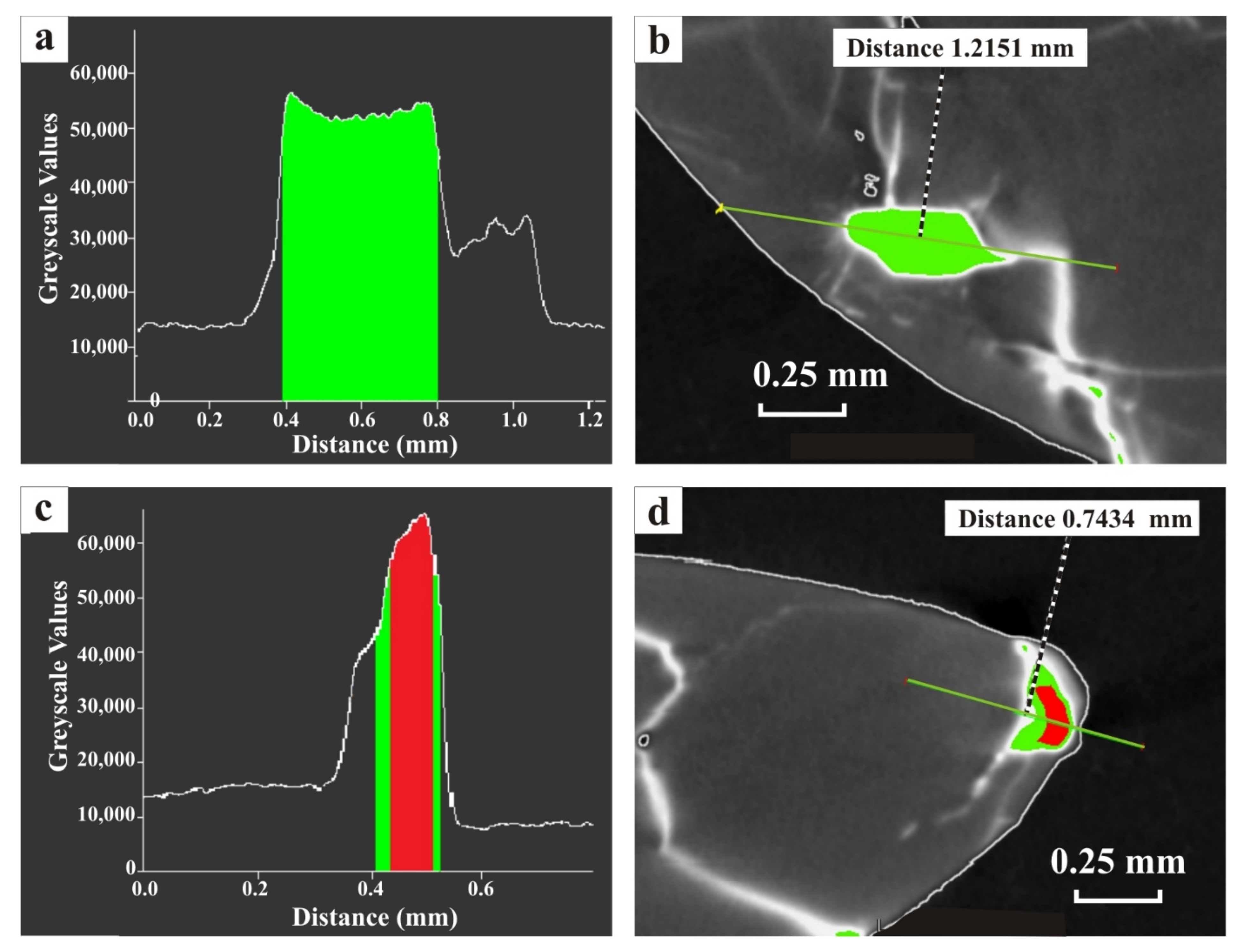 Minerals 11 00178 g004
