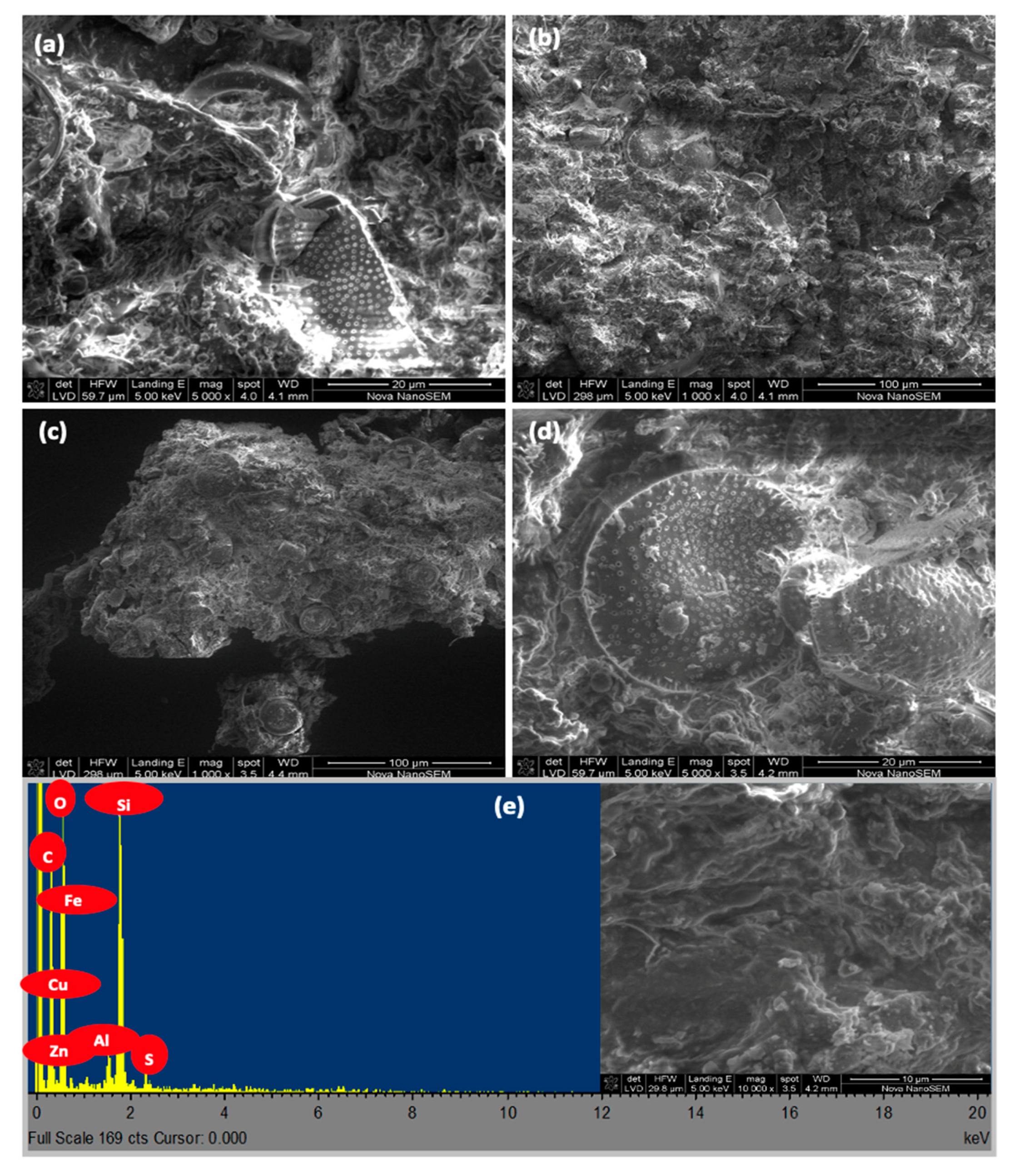 Minerals 11 00220 g010 Minerals 11 00220 g010