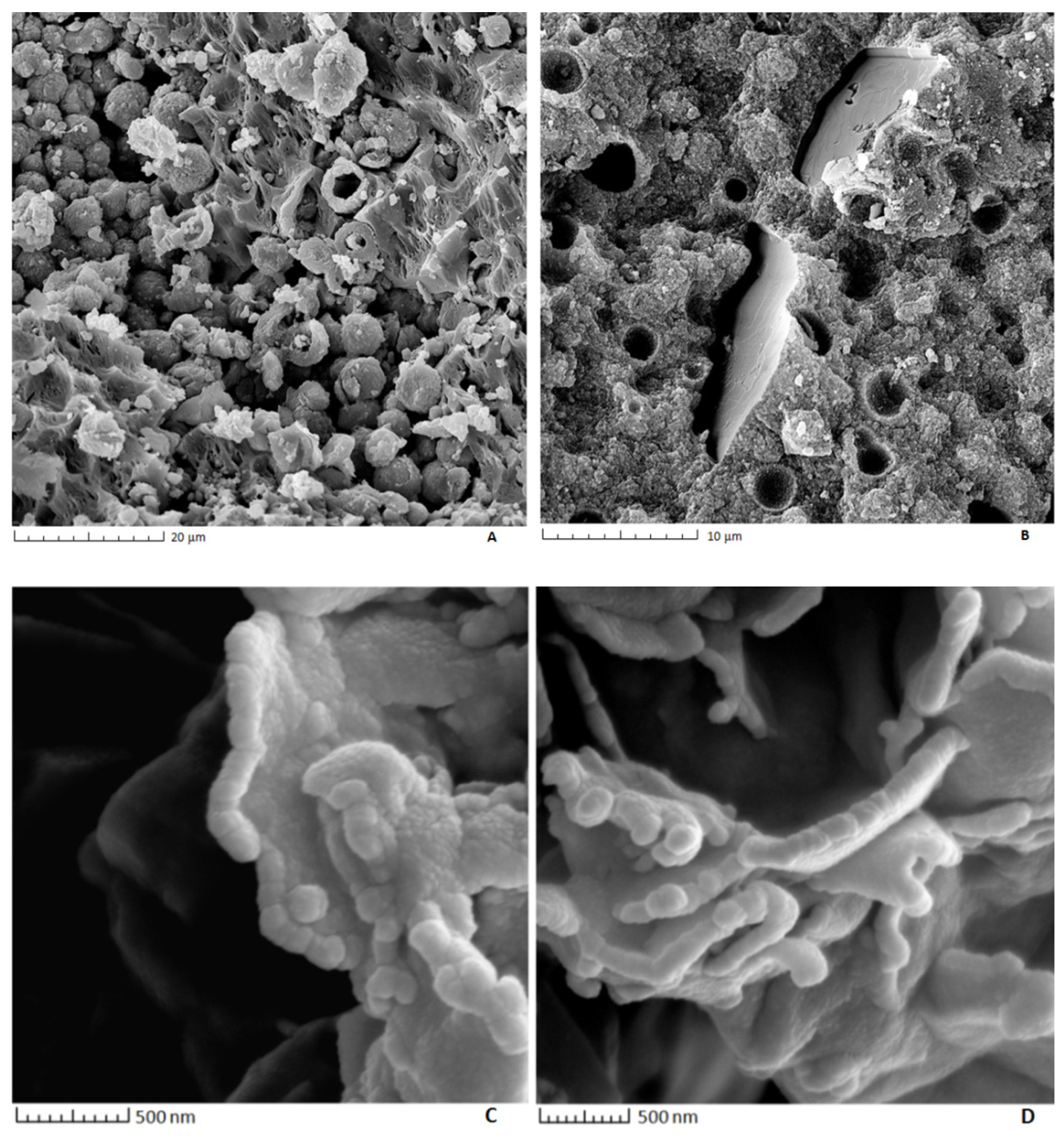 Minerals 11 00246 g005 Minerals 11 00246 g005