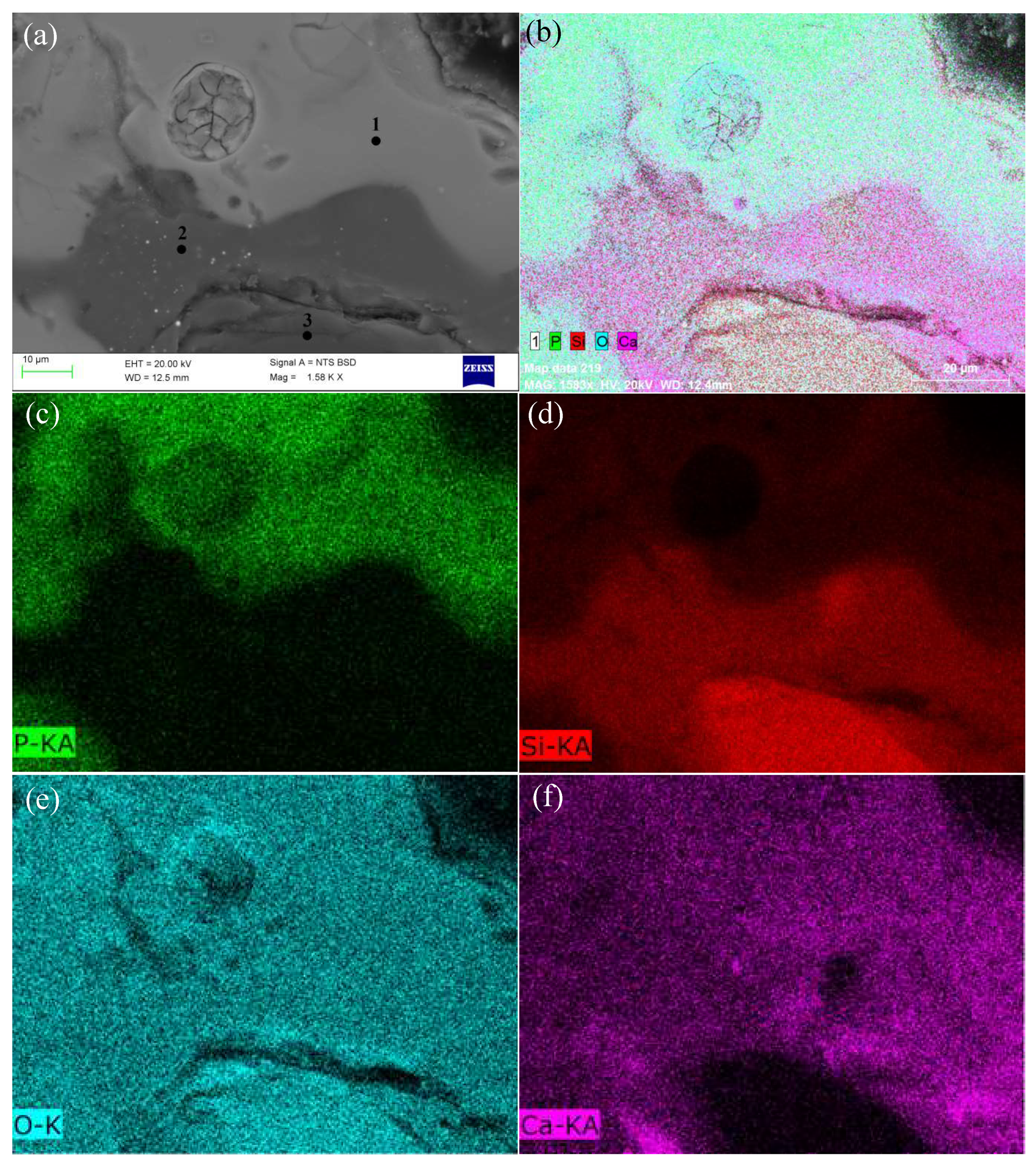 Minerals 11 00247 g014 Minerals 11 00247 g014