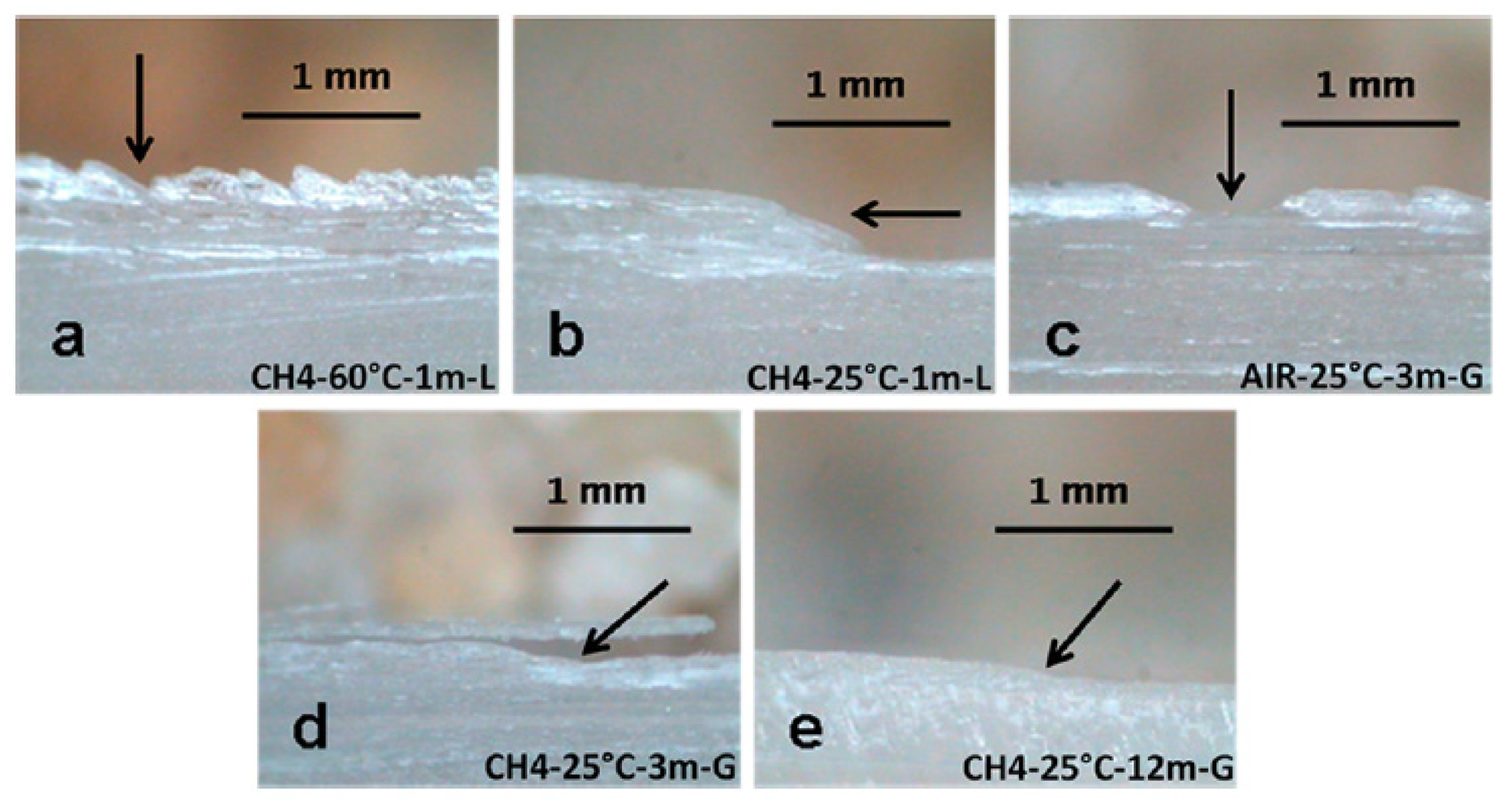 Minerals 11 00292 g013