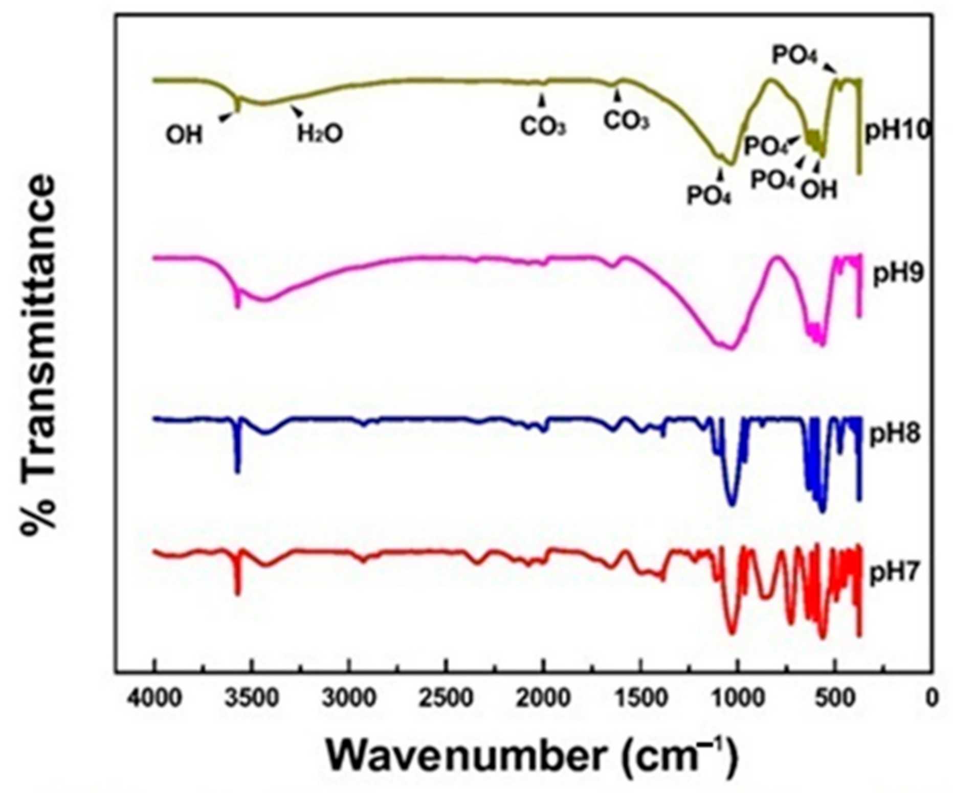 Minerals 11 00314 g005