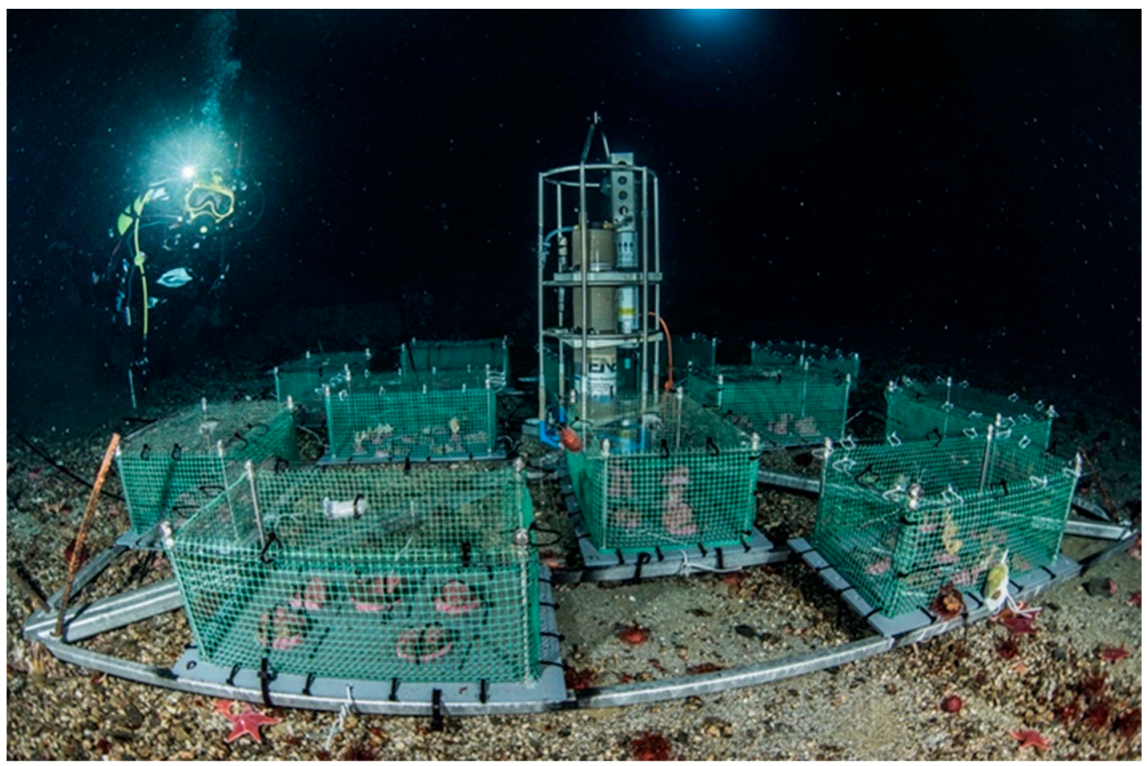 Minerals 11 00374 g002 Minerals 11 00374 g002