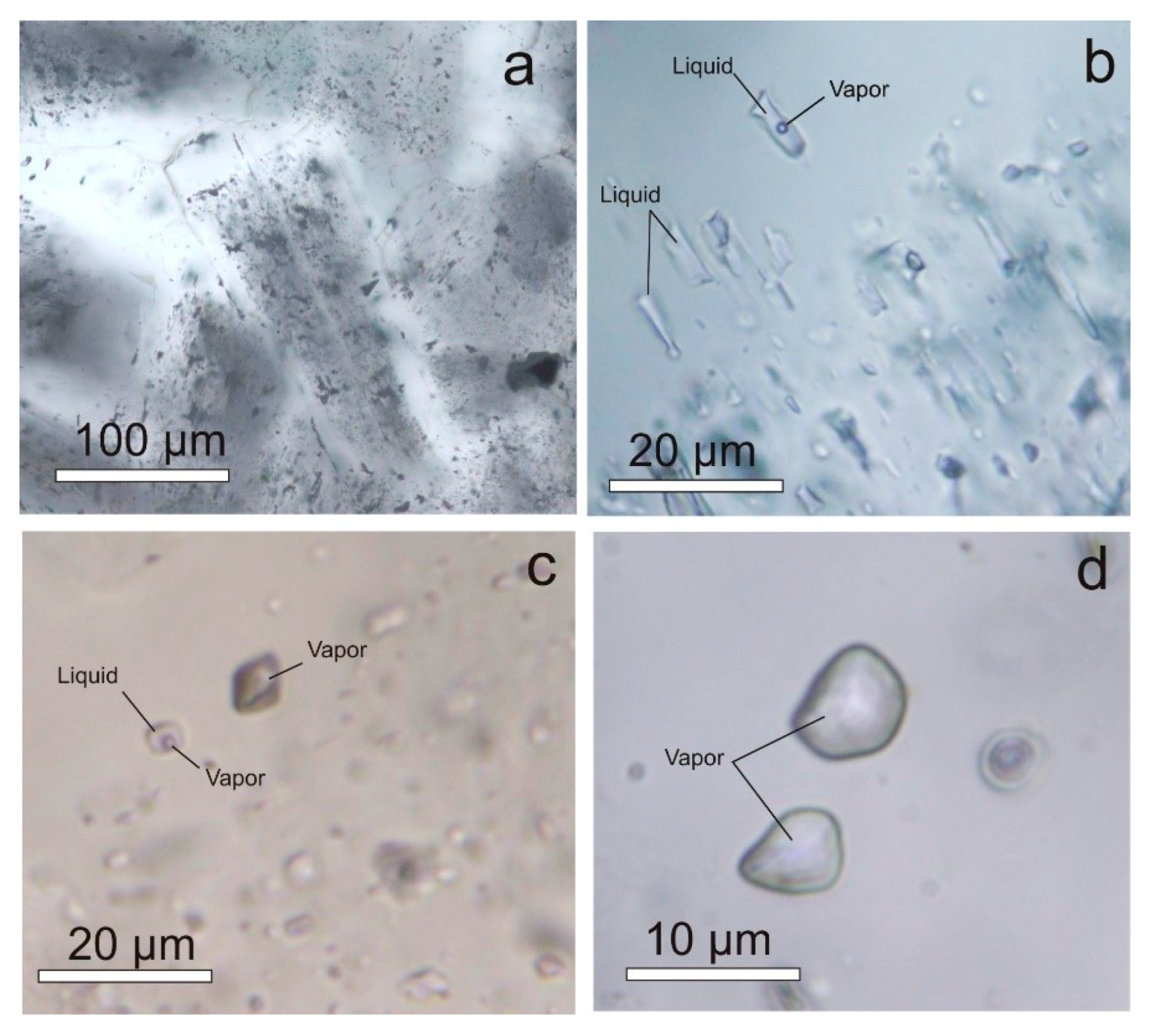 Minerals | Free Full-Text | Native Gold in the Chudnoe Au-Pd-REE ...