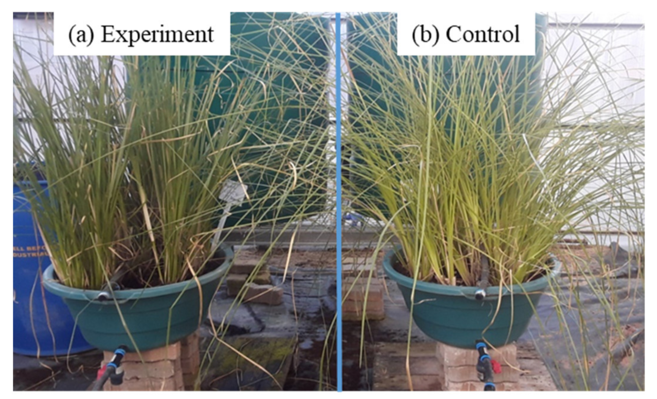 Minerals 11 00477 g001 Minerals 11 00477 g001