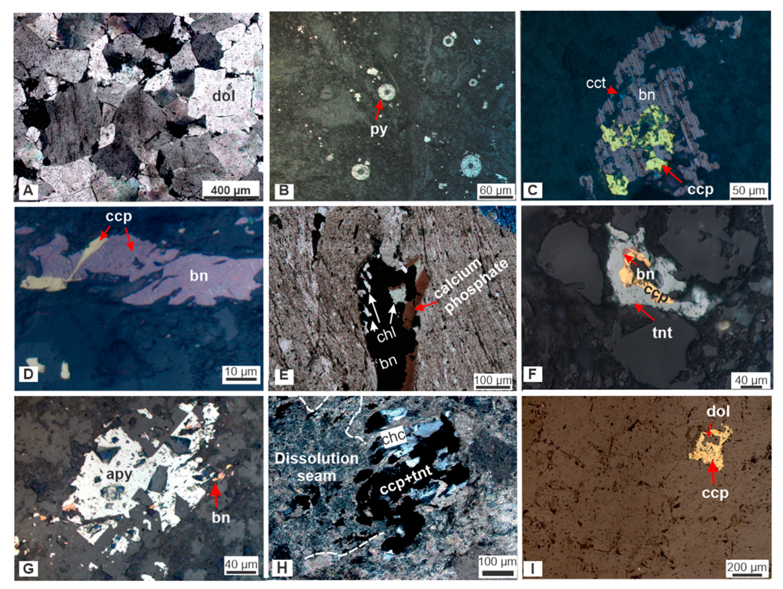 Minerals | Free Full-Text | The Carbonate-Hosted Tullacondra Cu-Ag Deposit,  Mallow, Ireland