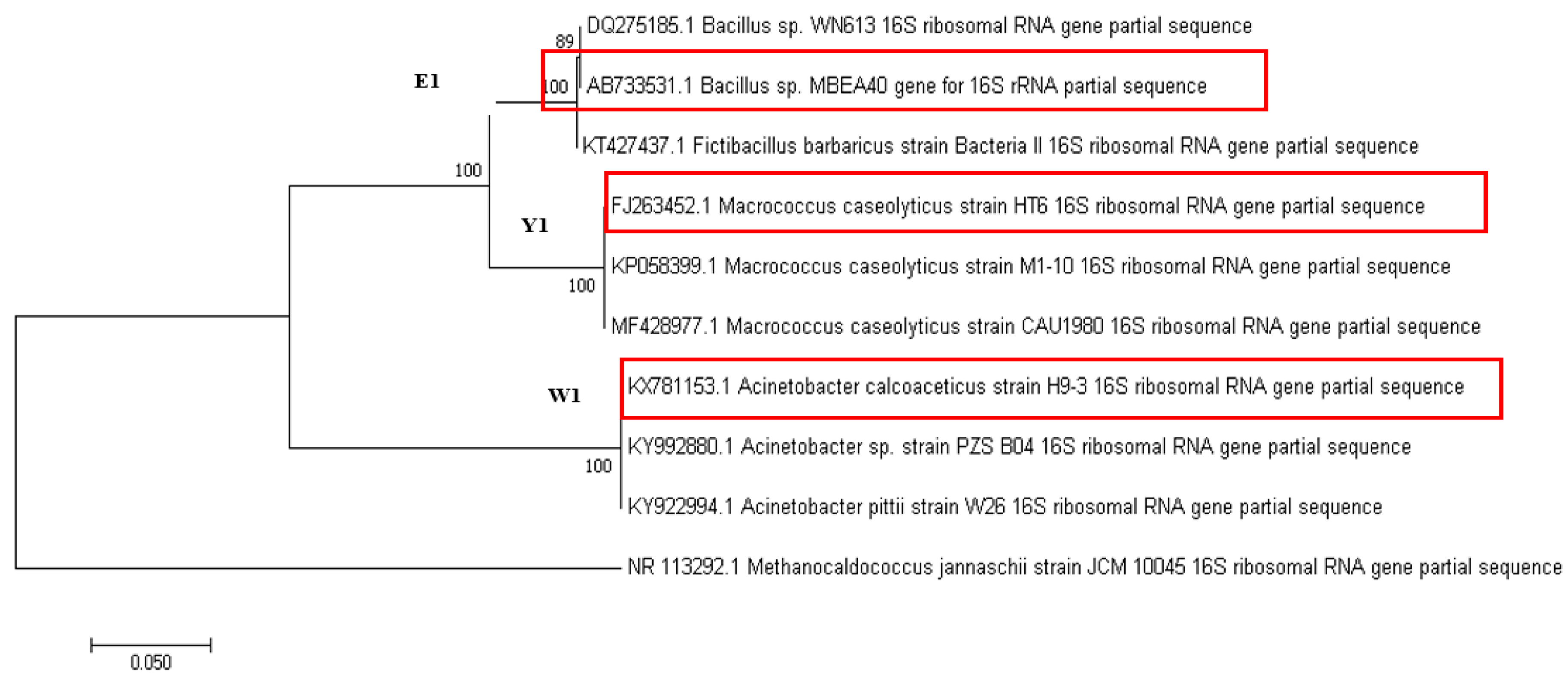 Minerals 11 00580 g001