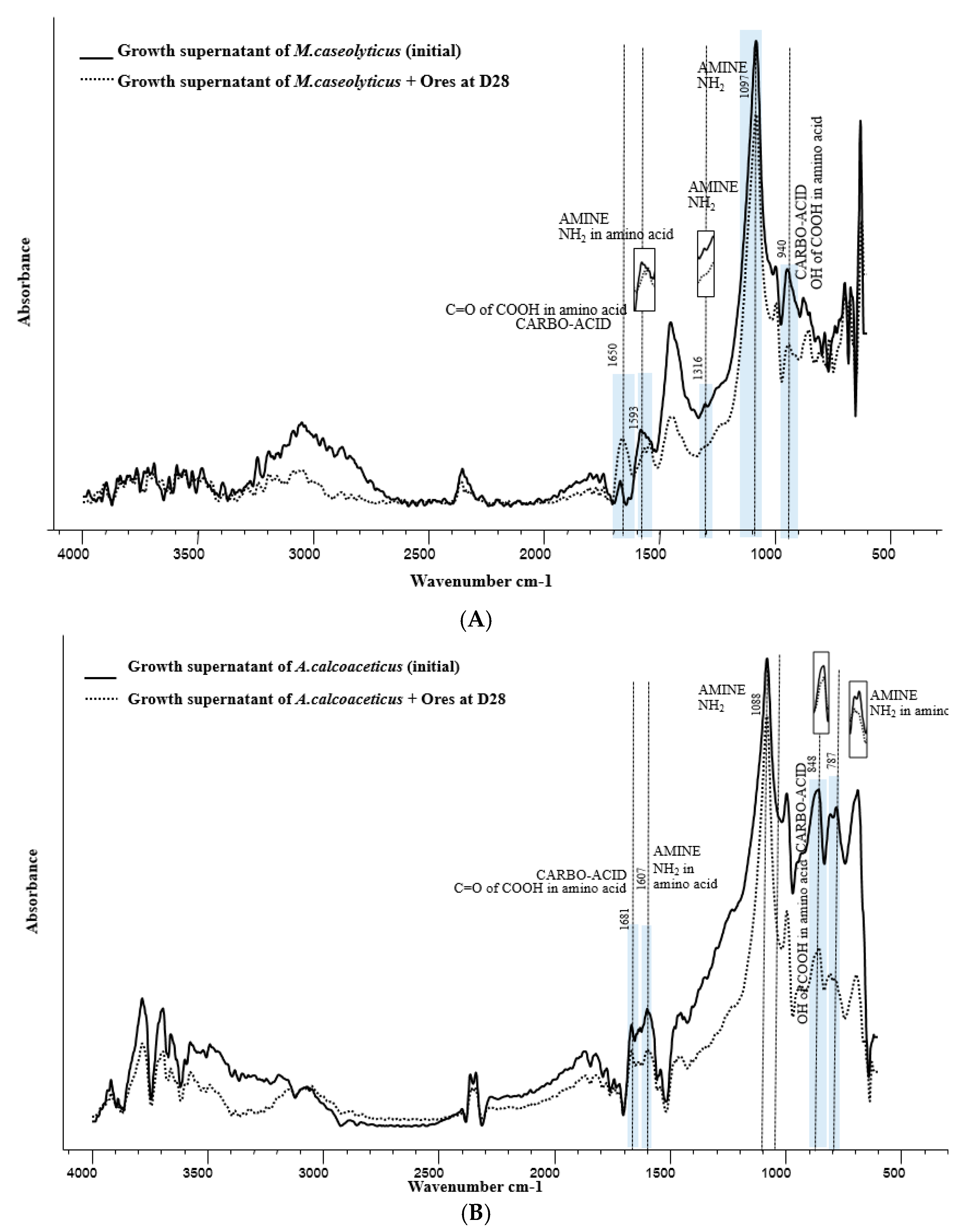 Minerals 11 00580 g005