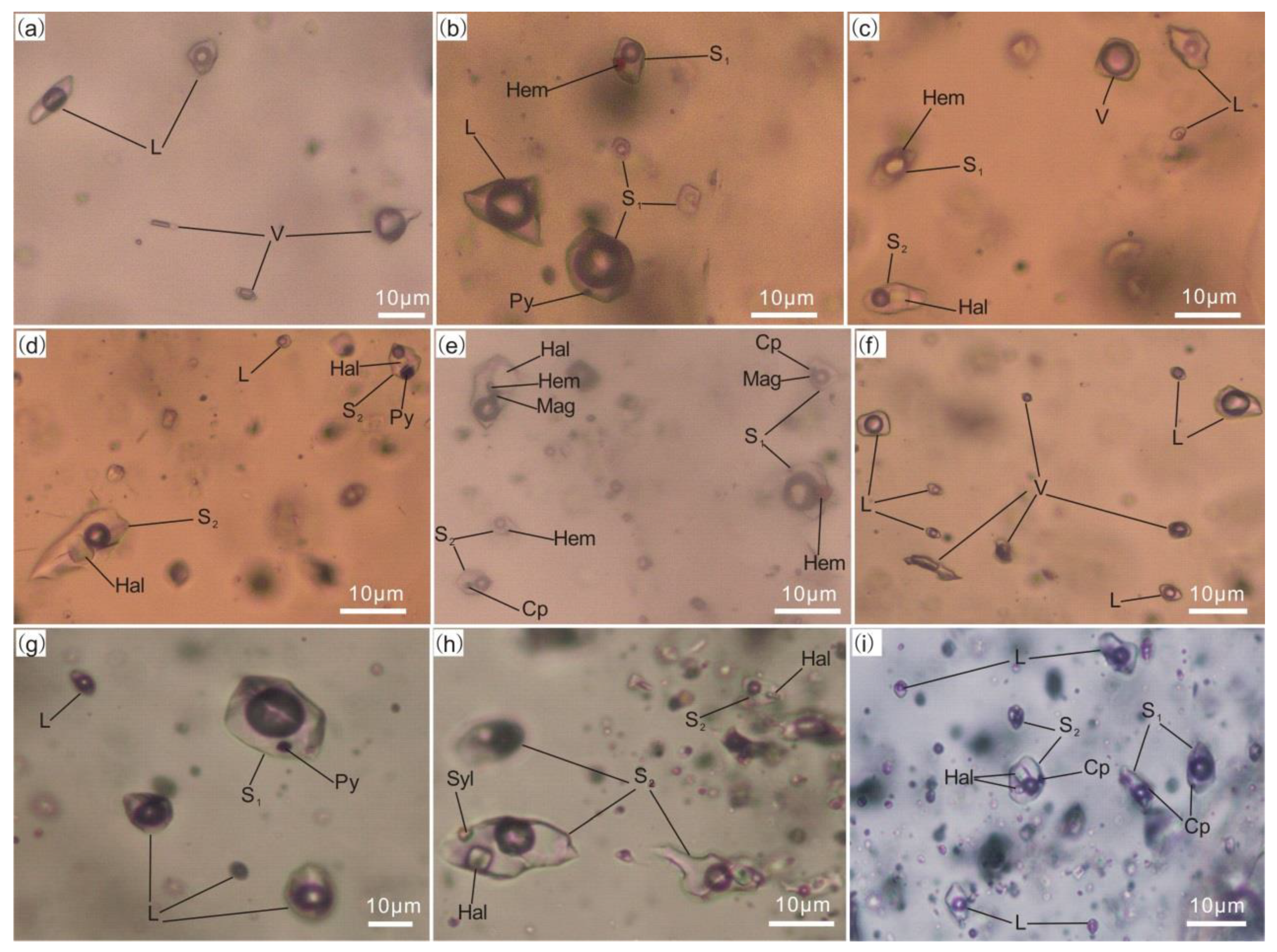 Minerals 11 00609 g006
