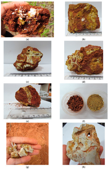 (1) Paleosol, SB1, red marl and hybrid marly limestone, (2) Pisoied