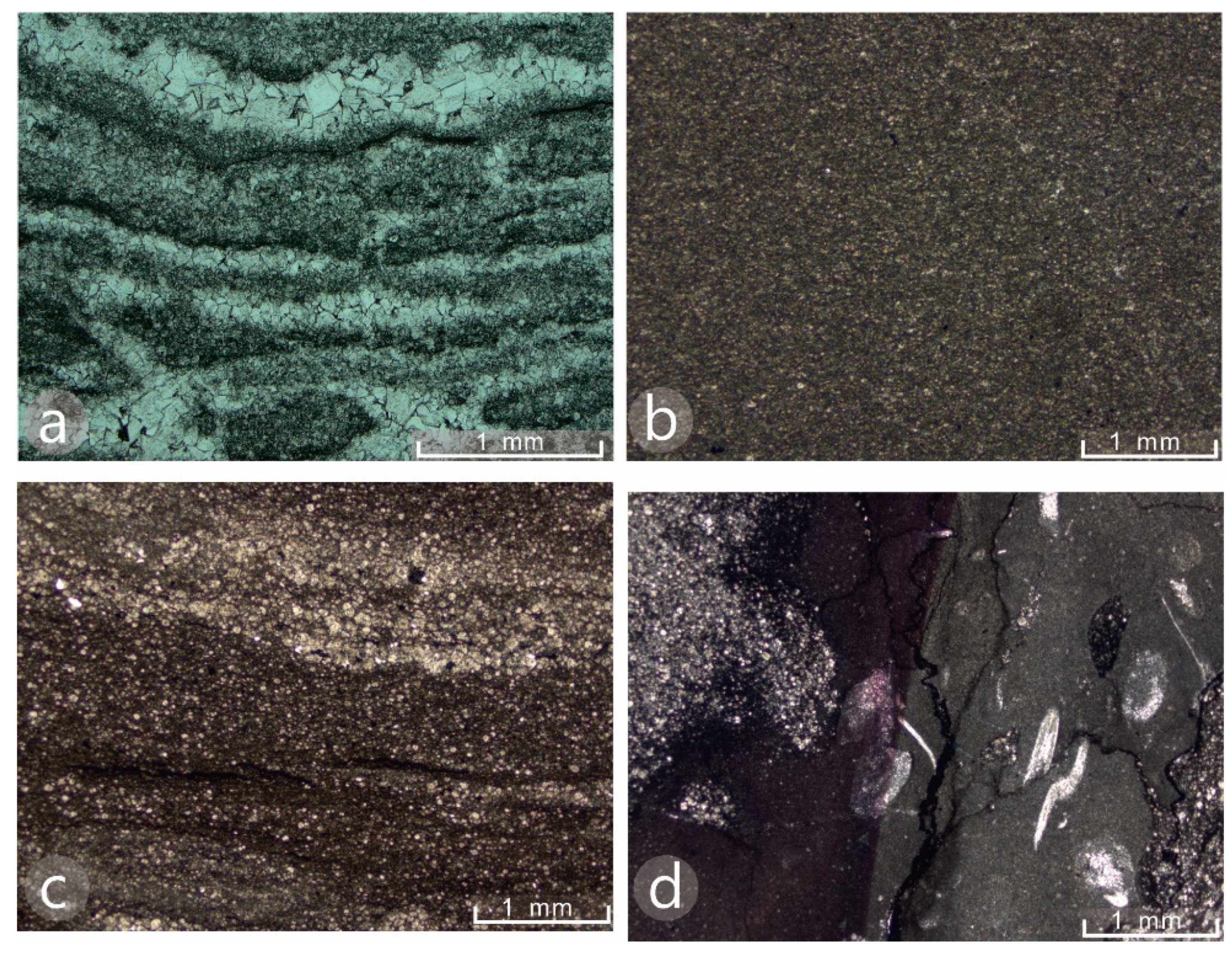 Minerals 11 00659 g006