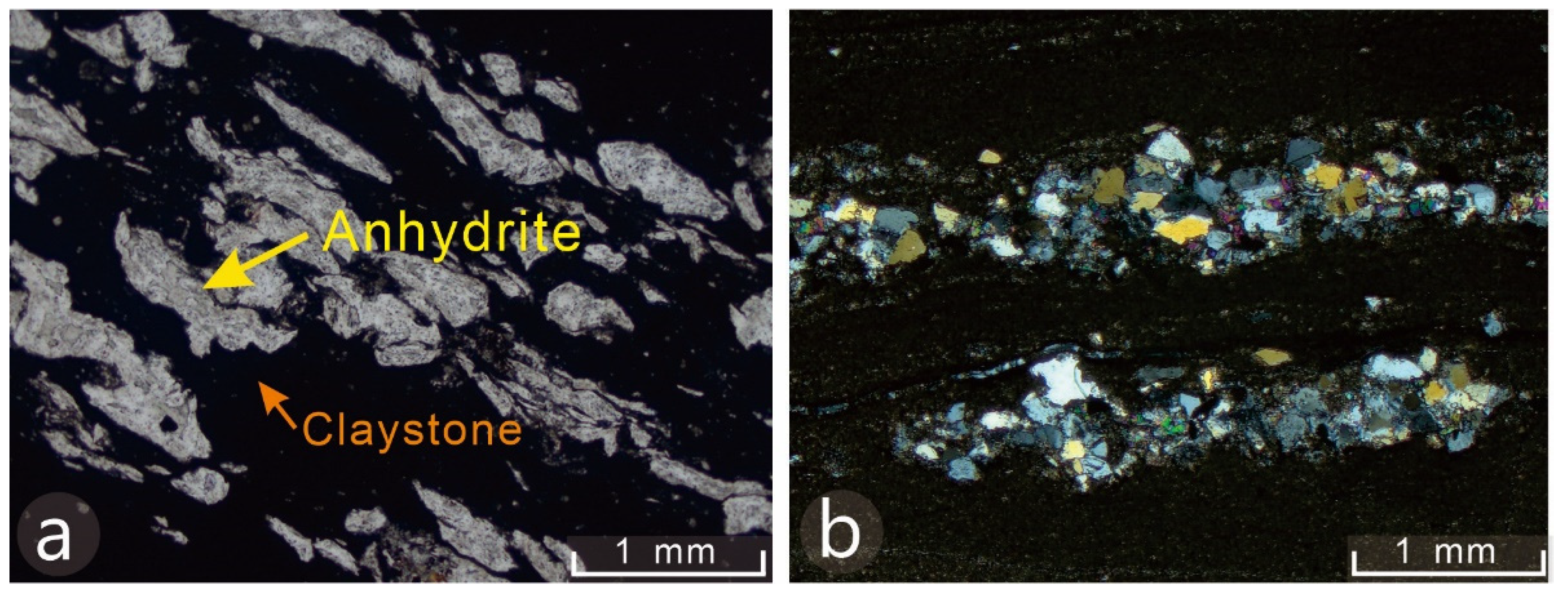 Minerals 11 00659 g007