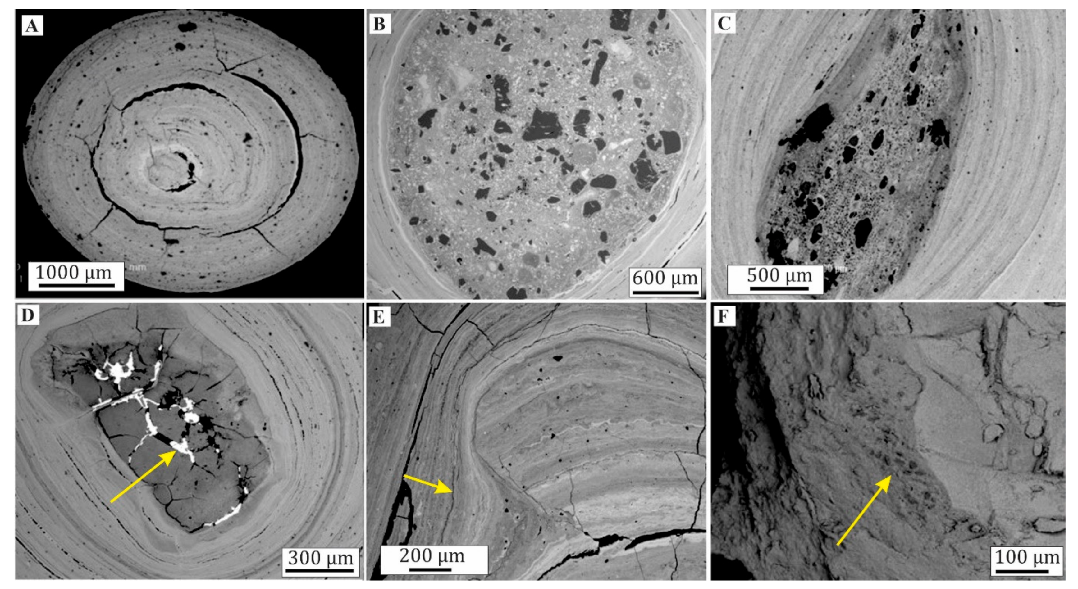 Minerals 11 00679 g006