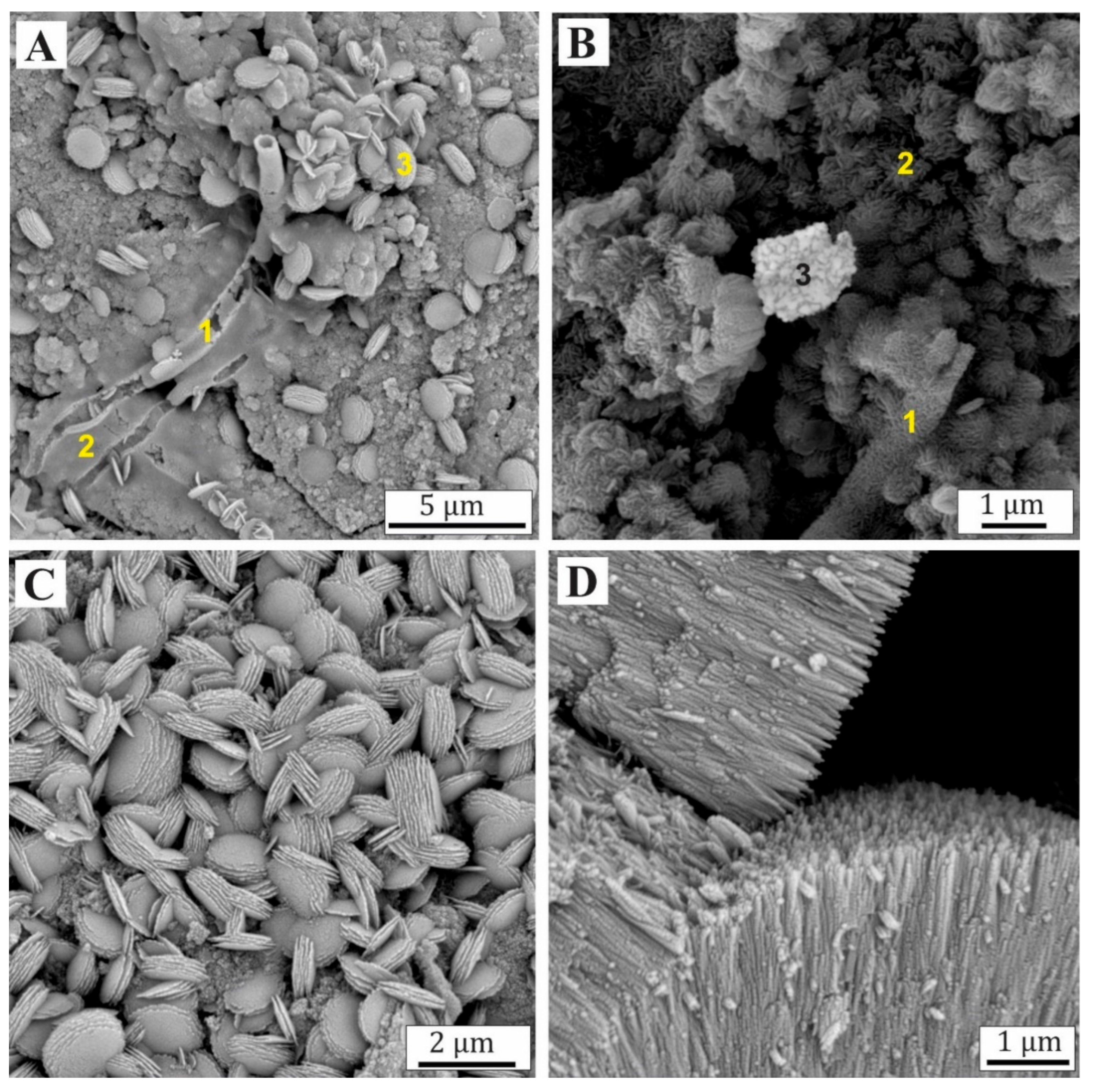 Minerals 11 00679 g007
