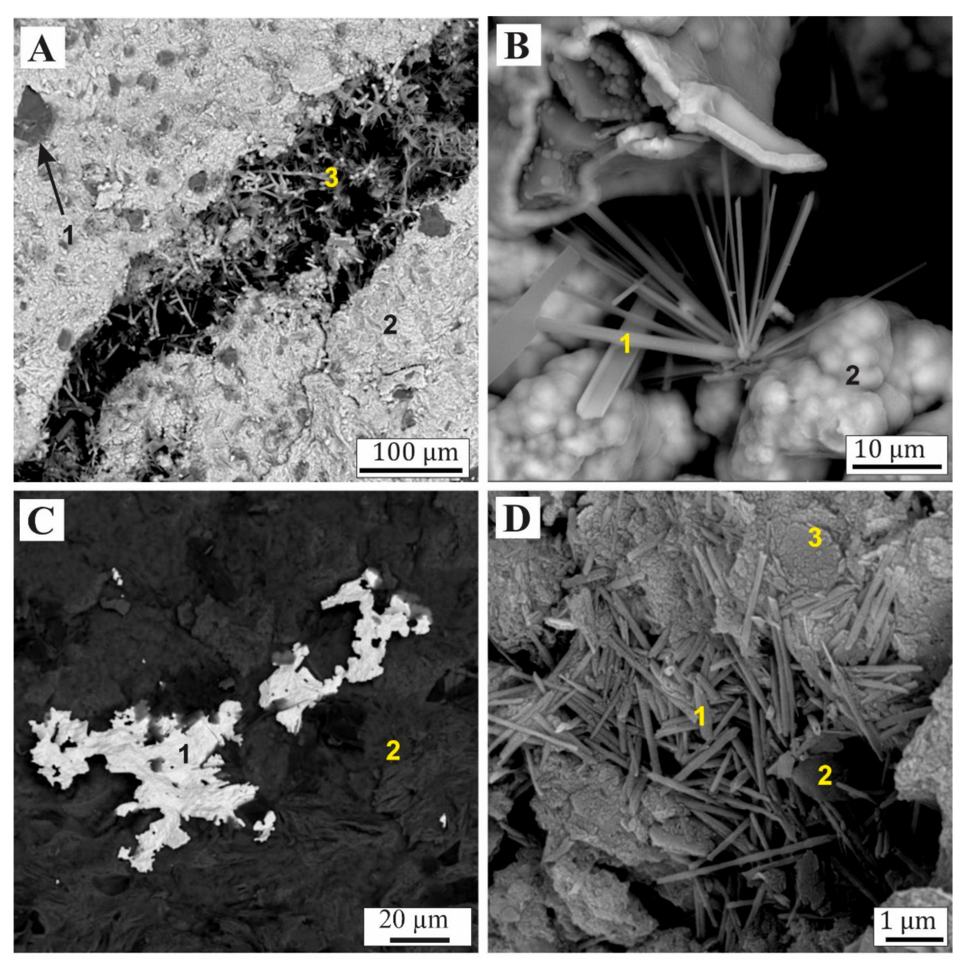 Minerals 11 00679 g008