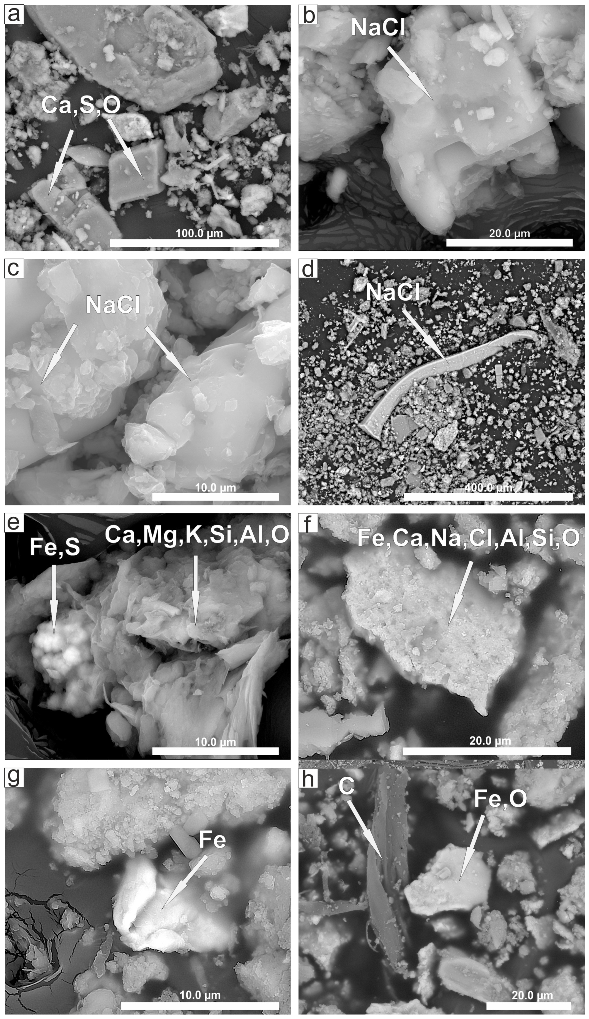 Minerals 11 00686 g007