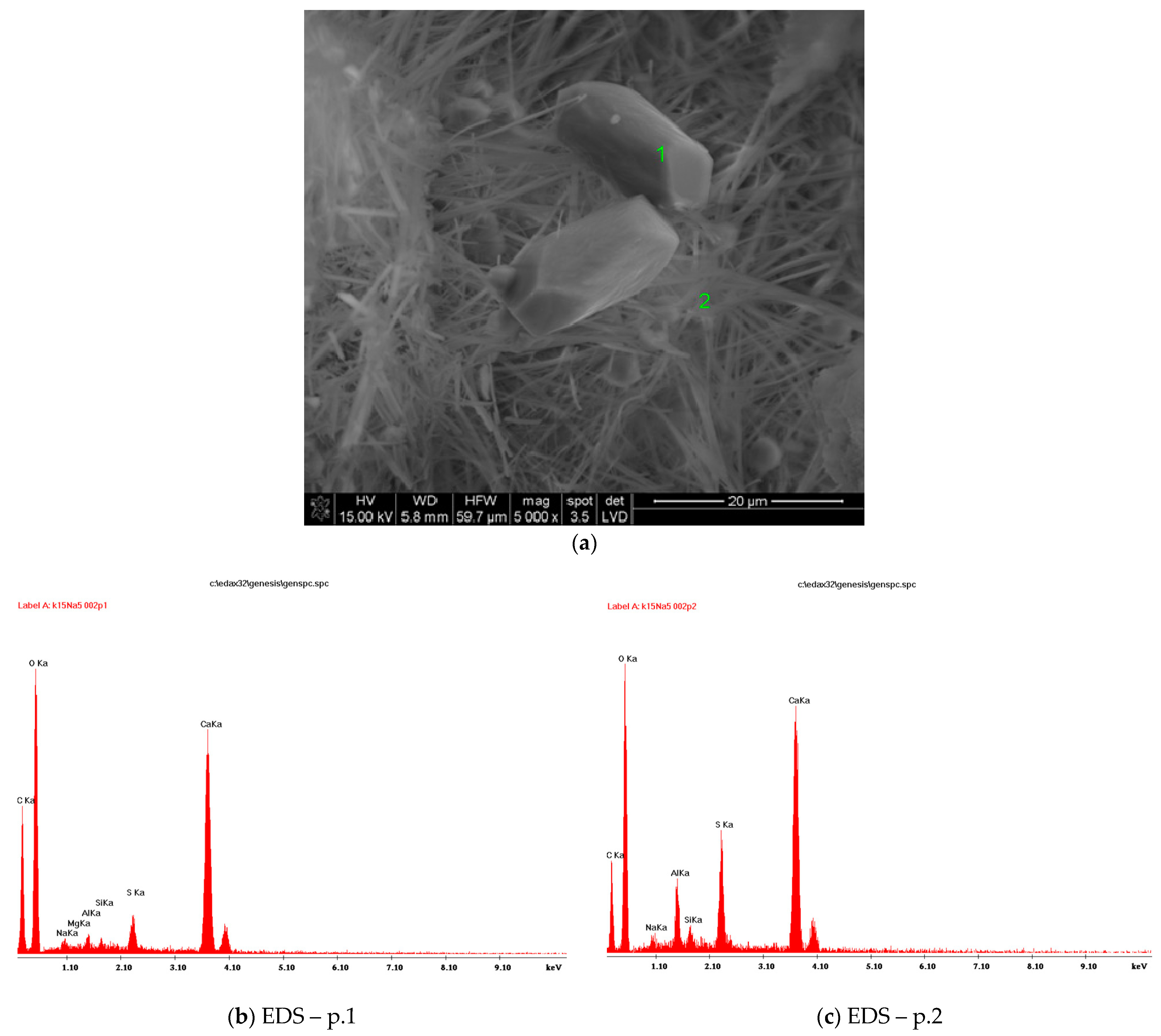 Minerals 11 00690 g004