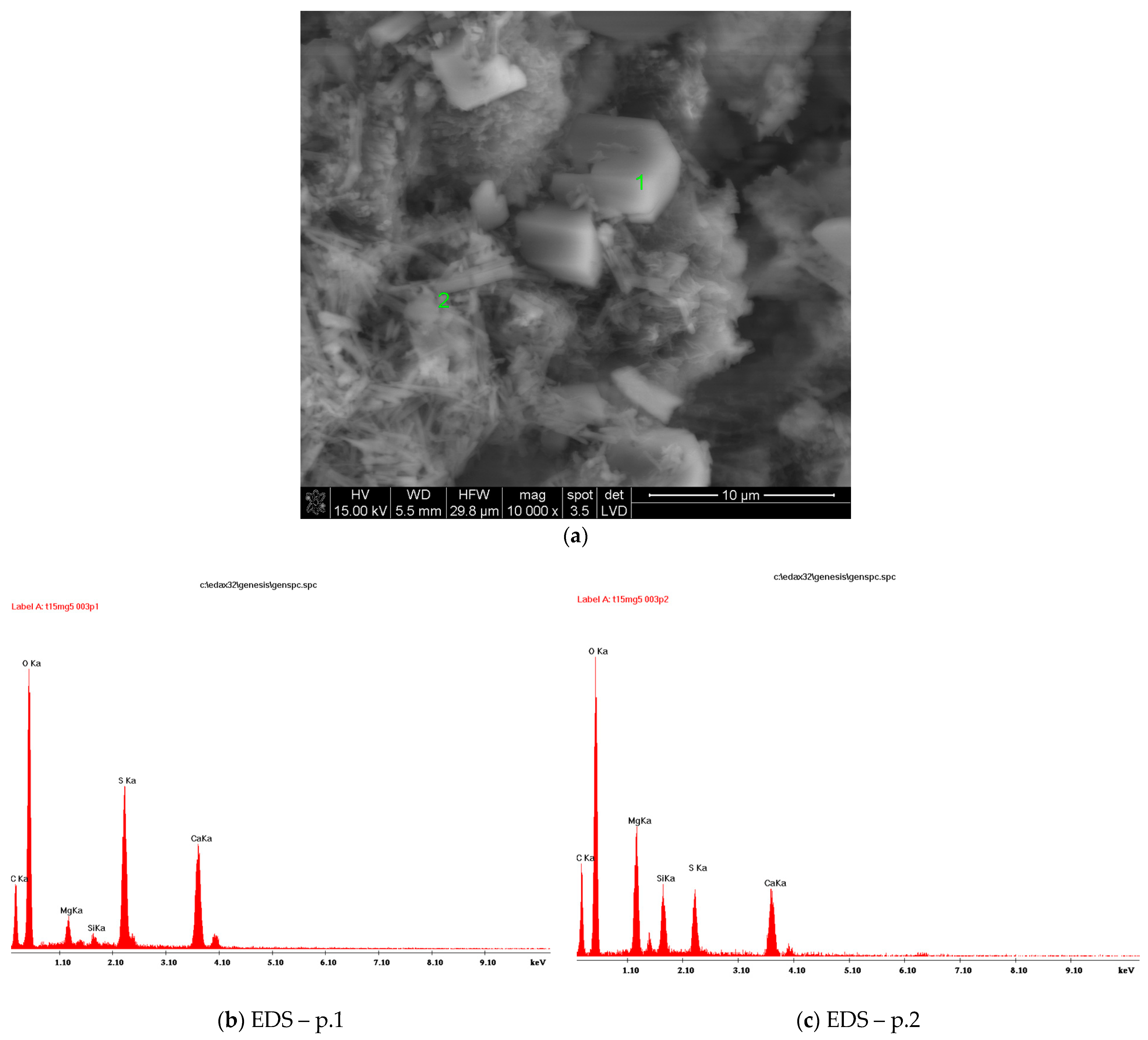 Minerals 11 00690 g005
