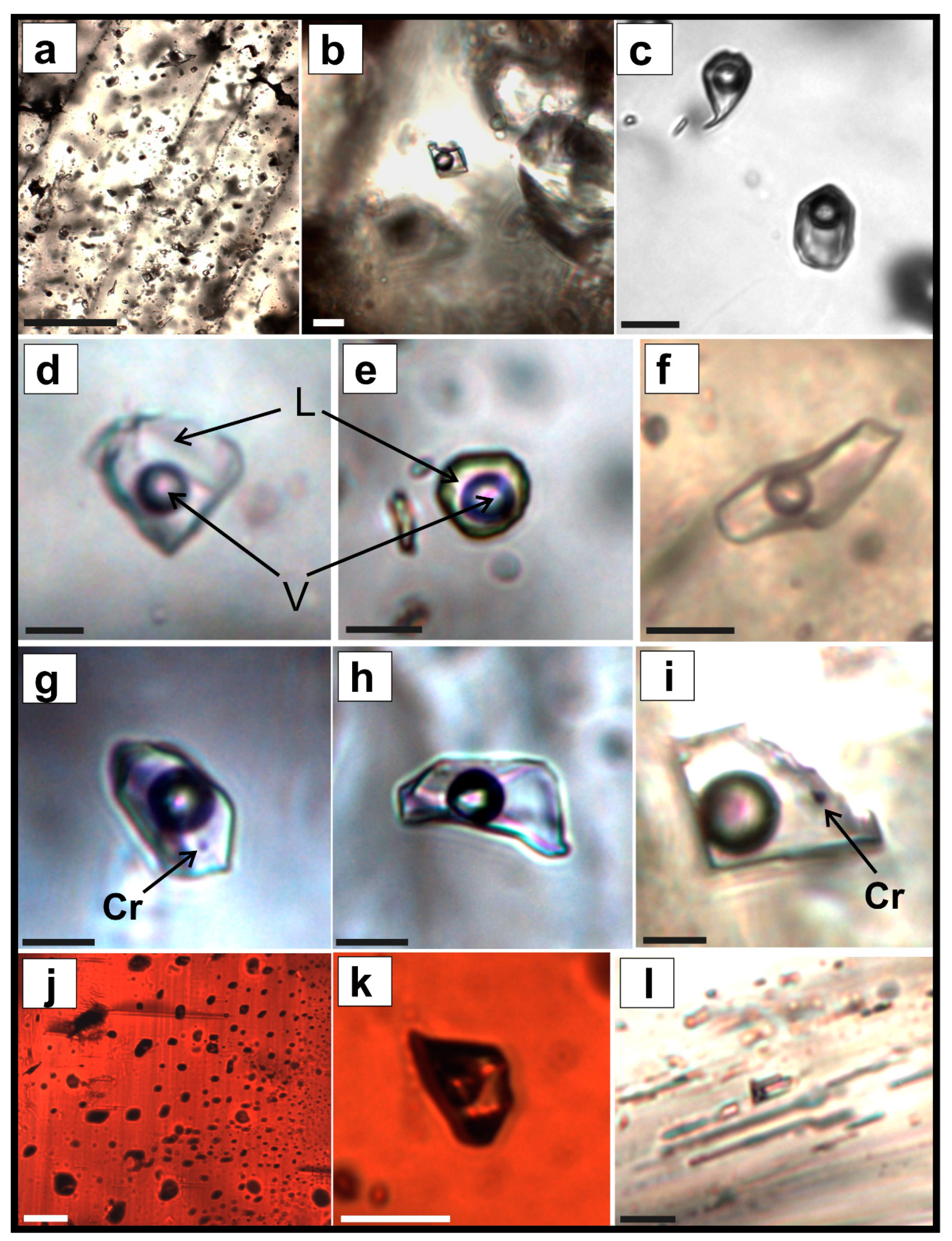 Minerals 11 00725 g005