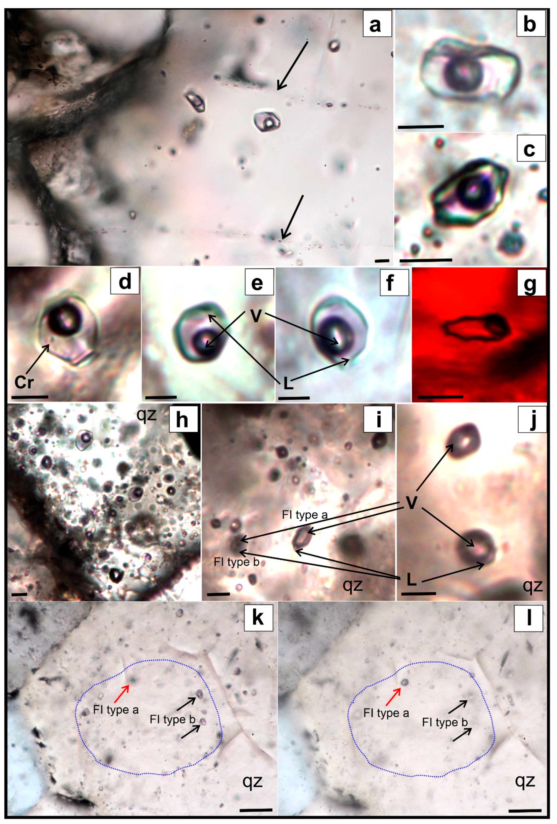 Minerals 11 00725 g006