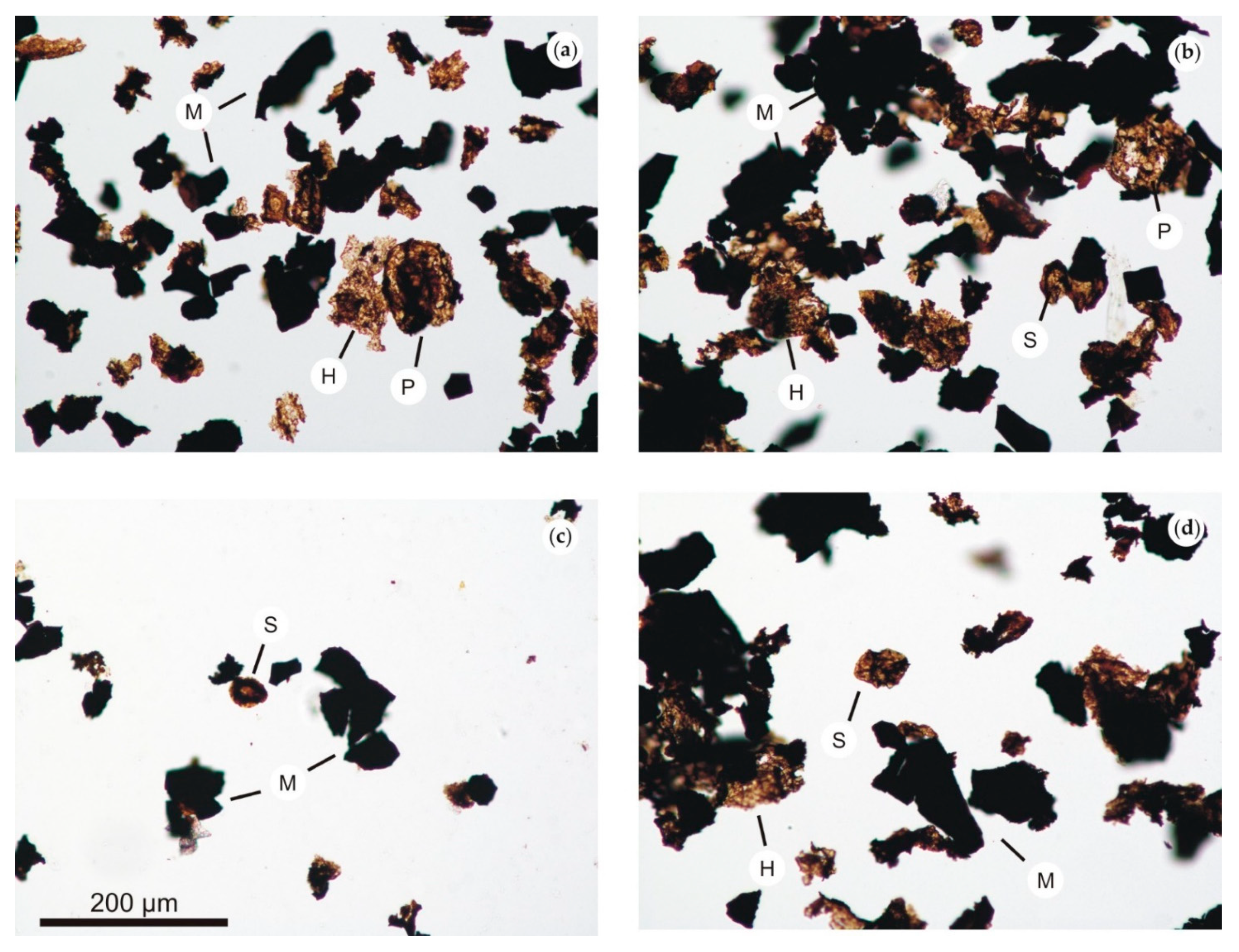 Minerals 11 00735 g009 Minerals 11 00735 g009