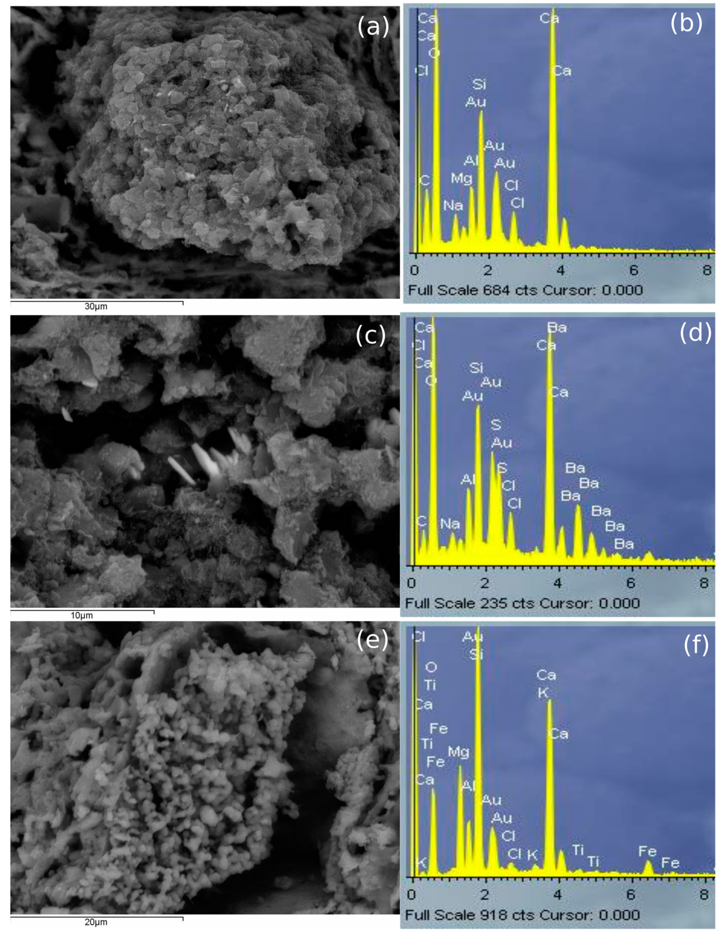 Minerals Free Full Text Alterations And Contaminations In Ceramics Deposited In Underwater Environments An Experimental Approach Html