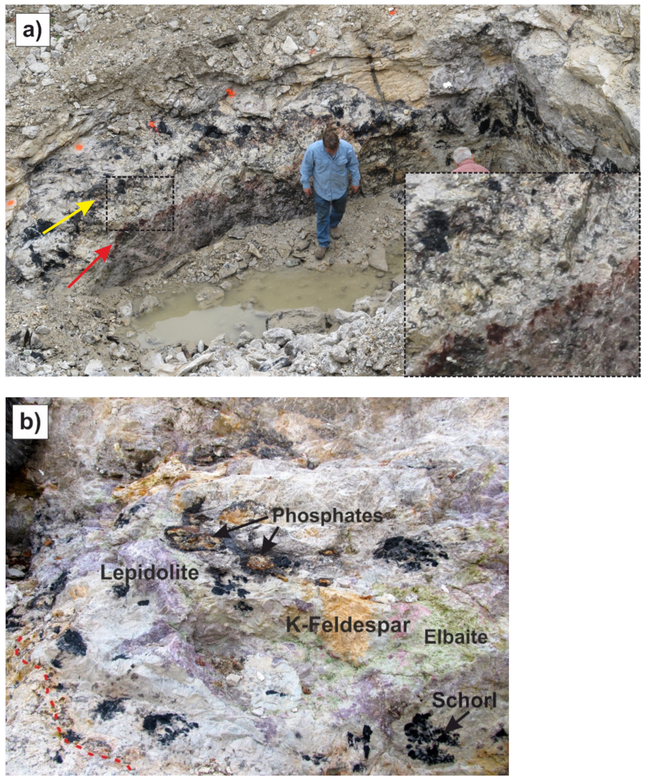 Minerals 11 00802 g006