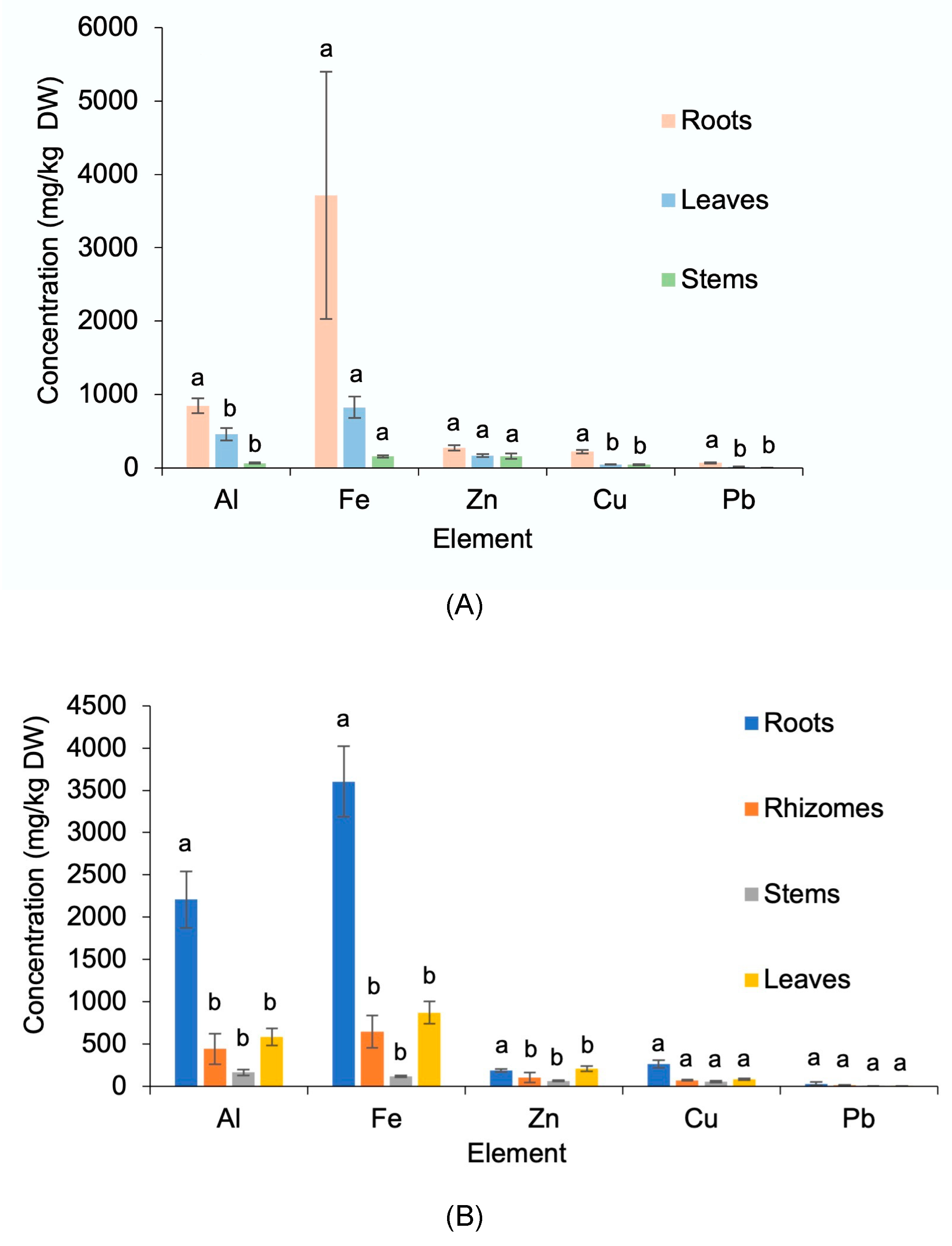 Minerals 11 00806 g002
