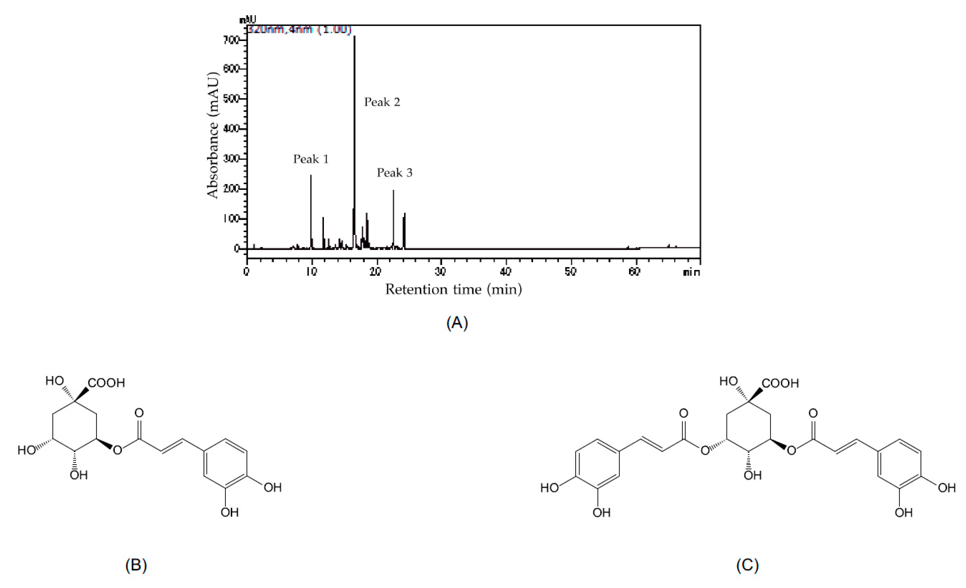 Minerals 11 00806 g003