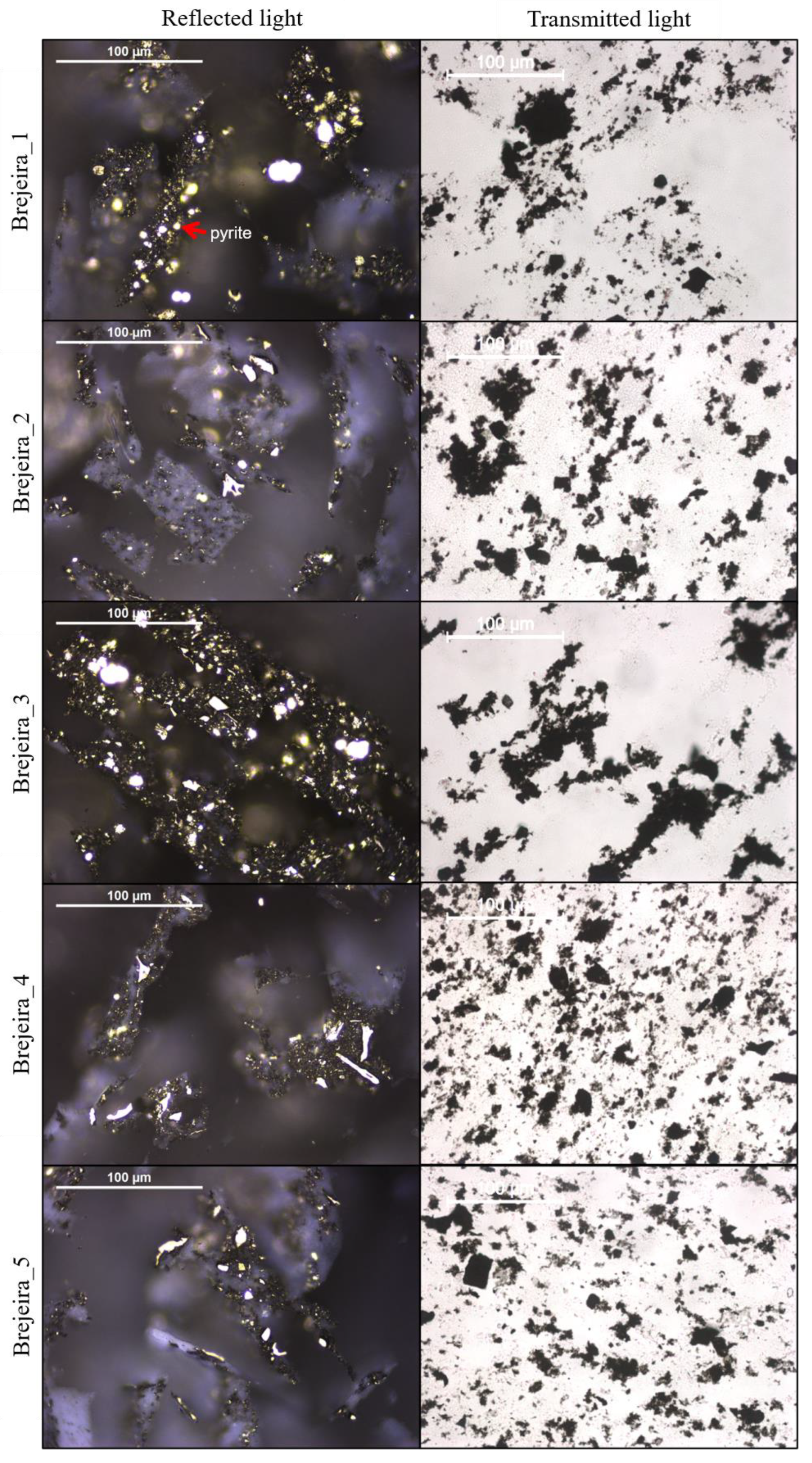 Minerals 11 00811 g007