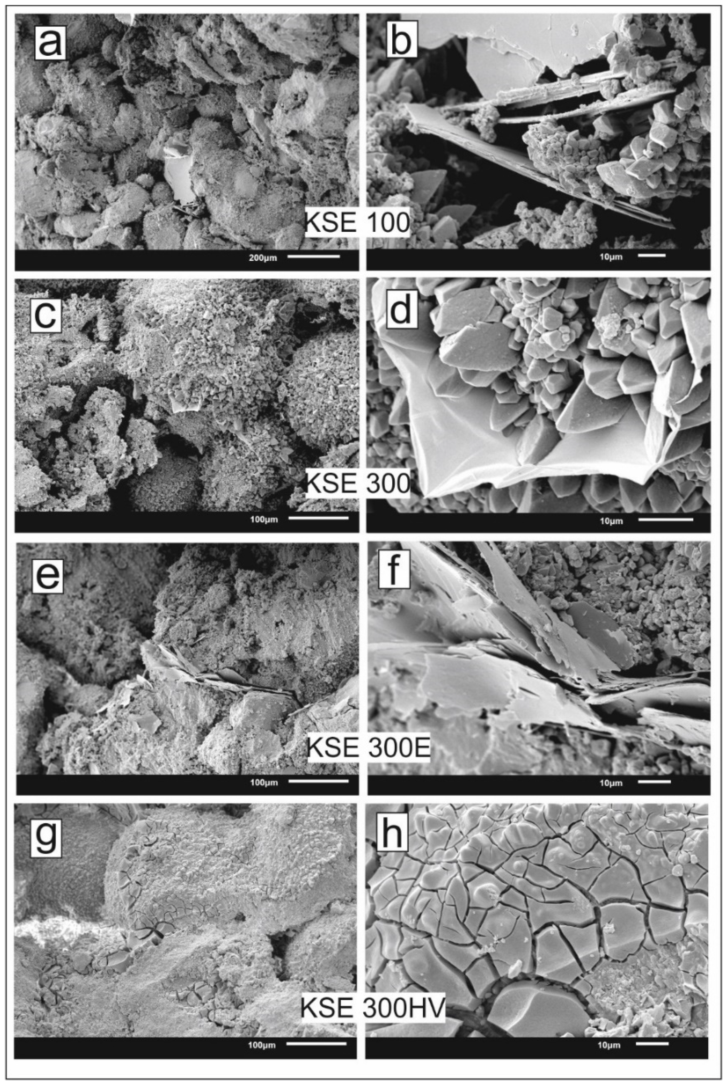 Minerals 11 00824 g008