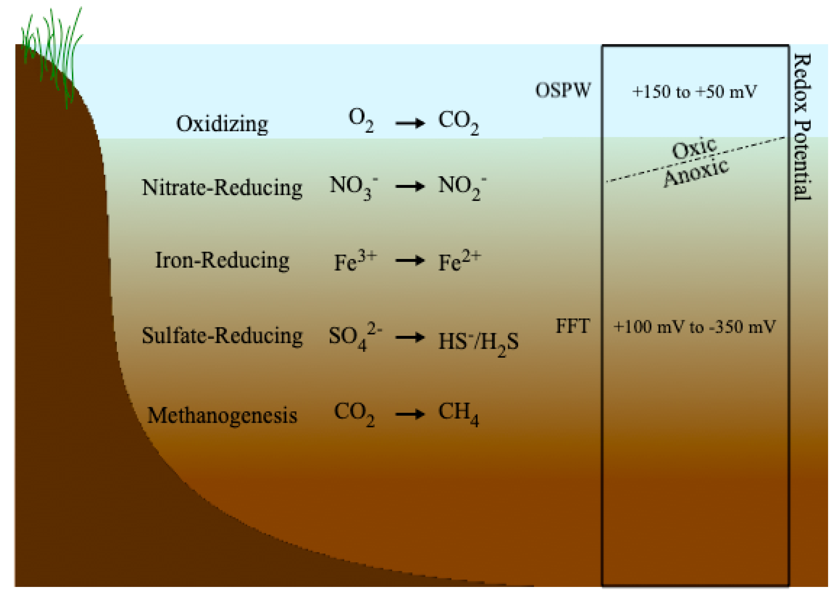Minerals 11 00830 g002