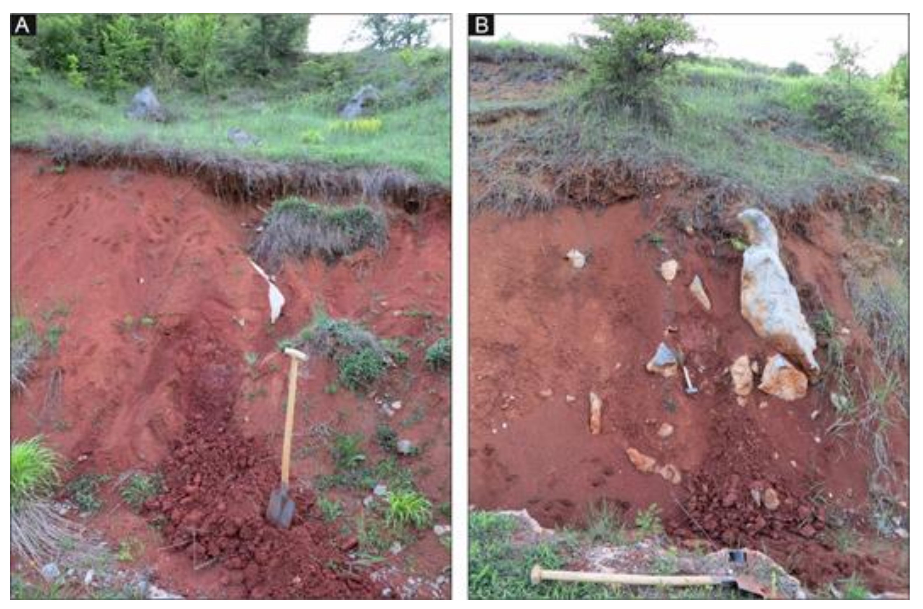 Minerals 11 00873 g003