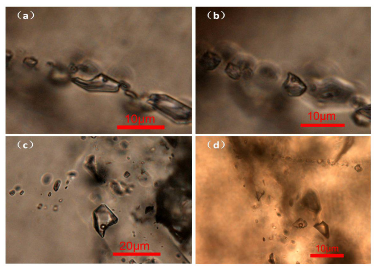 Minerals 11 00877 g007
