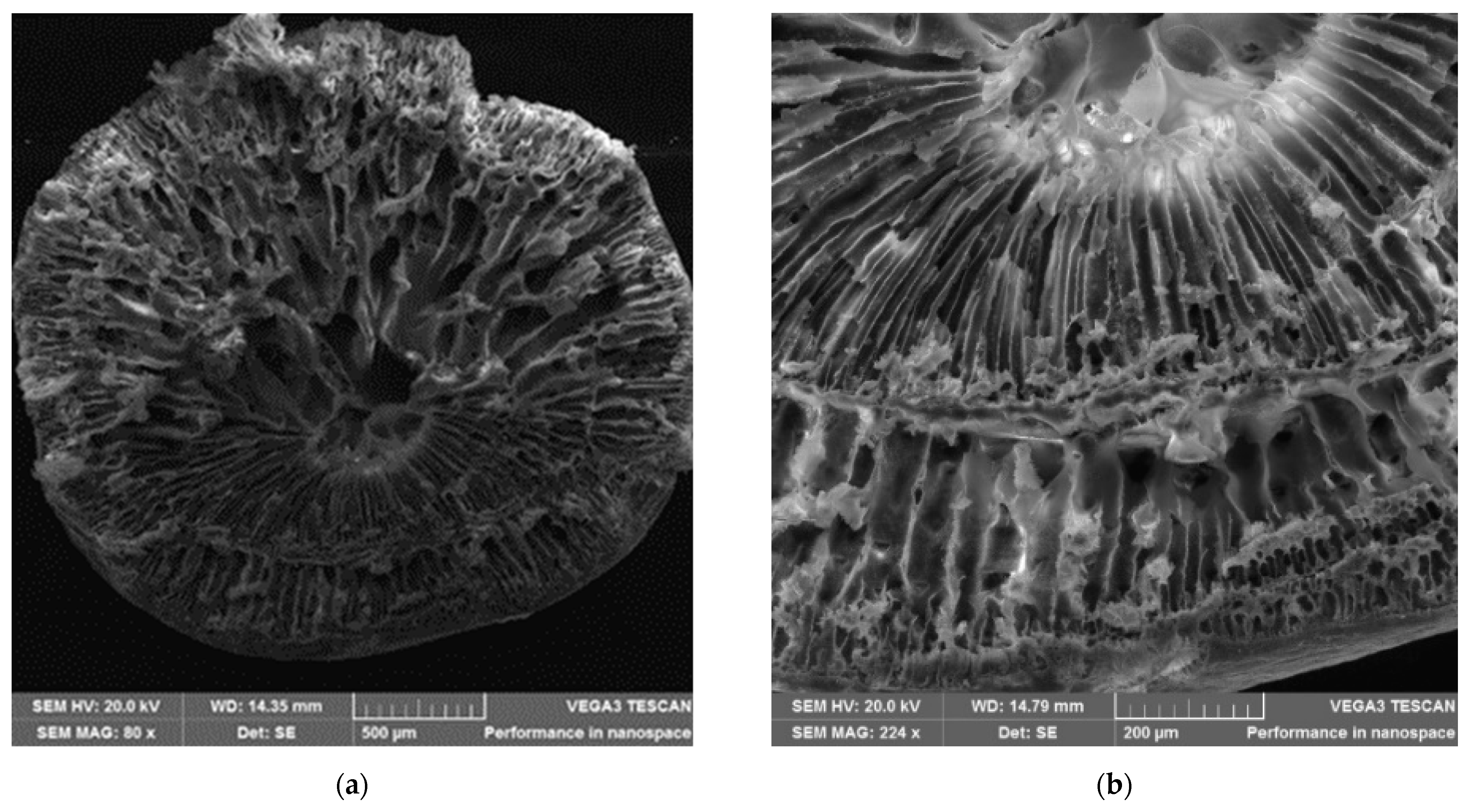 Minerals 11 00884 g003a Minerals 11 00884 g003a