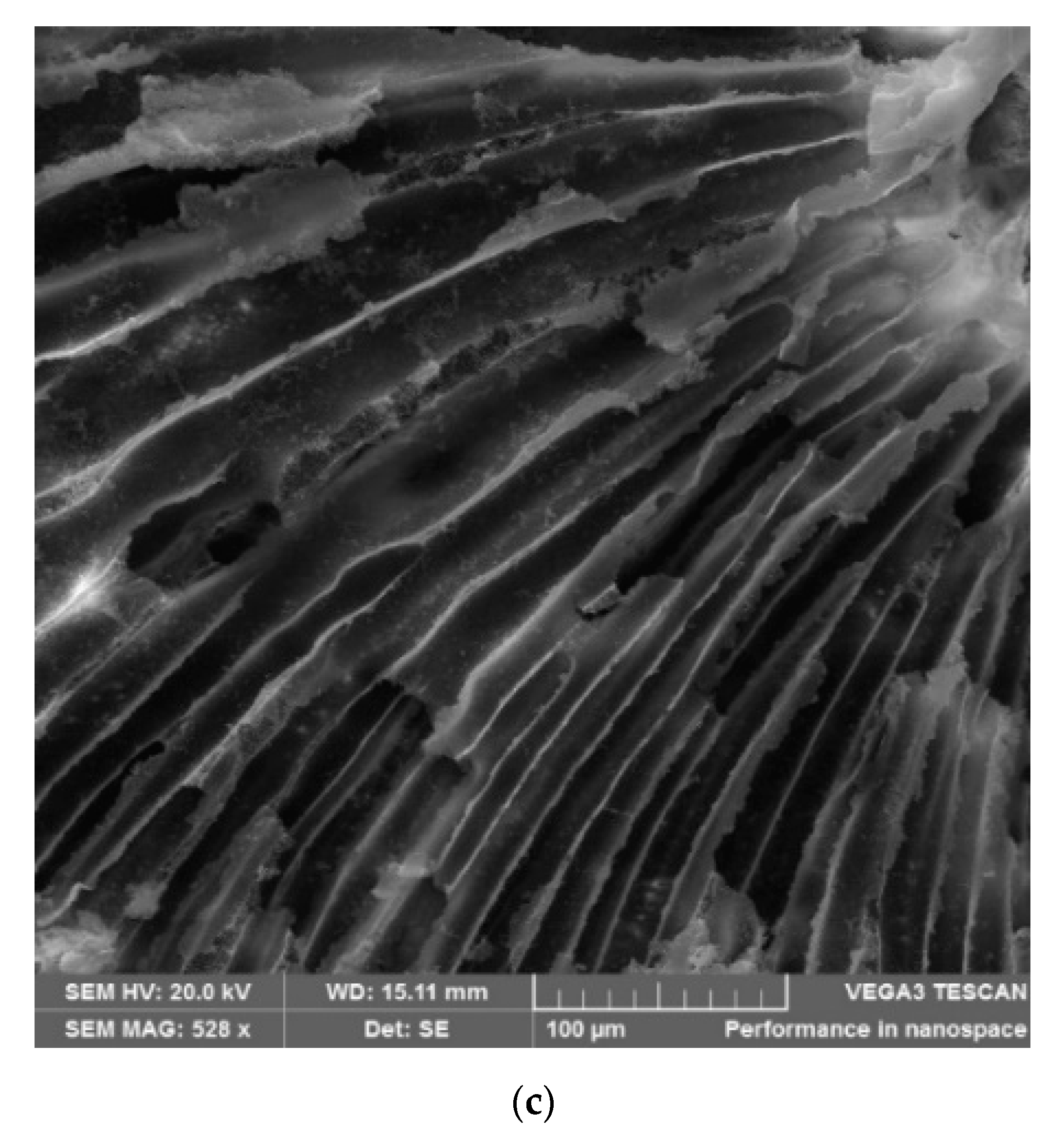Minerals 11 00884 g003b Minerals 11 00884 g003b