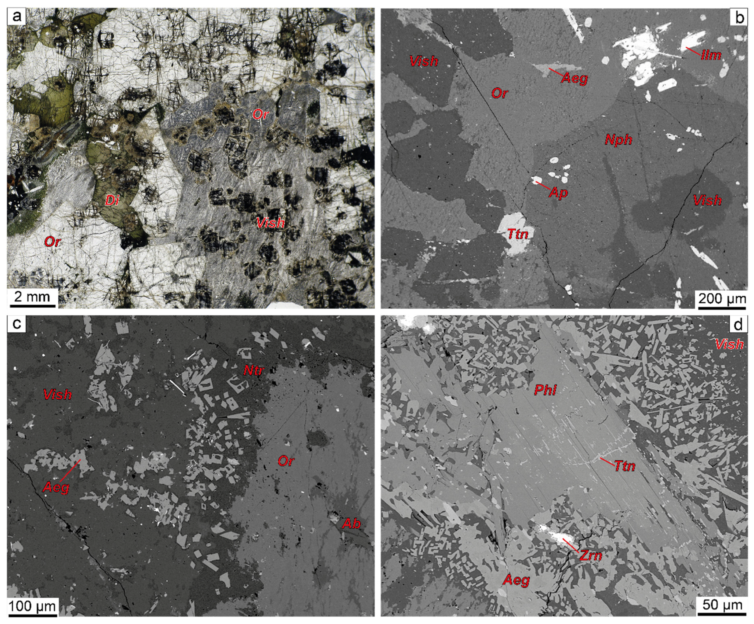 Minerals 11 00974 g006a