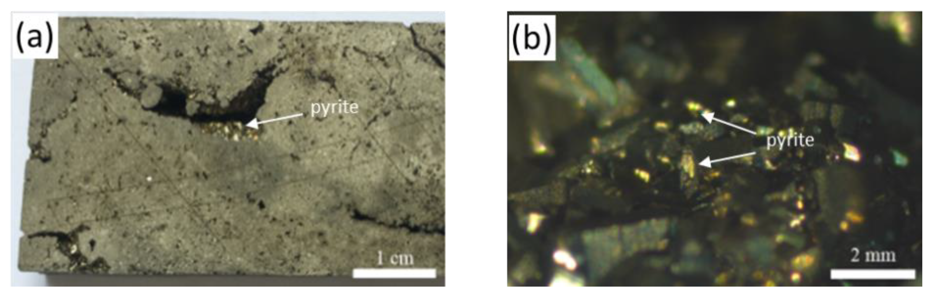 Minerals 11 00983 g005