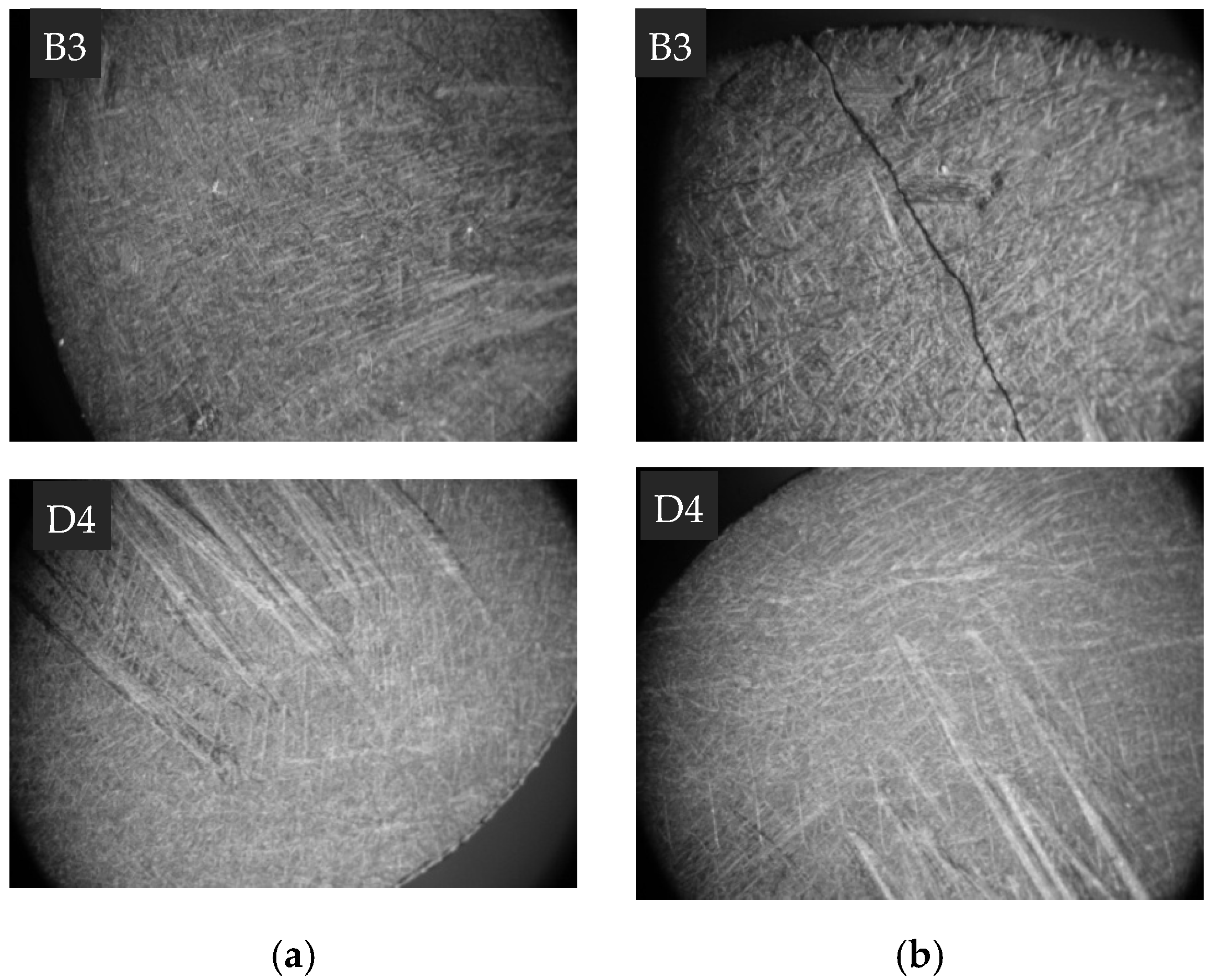 Minerals 11 00991 g006